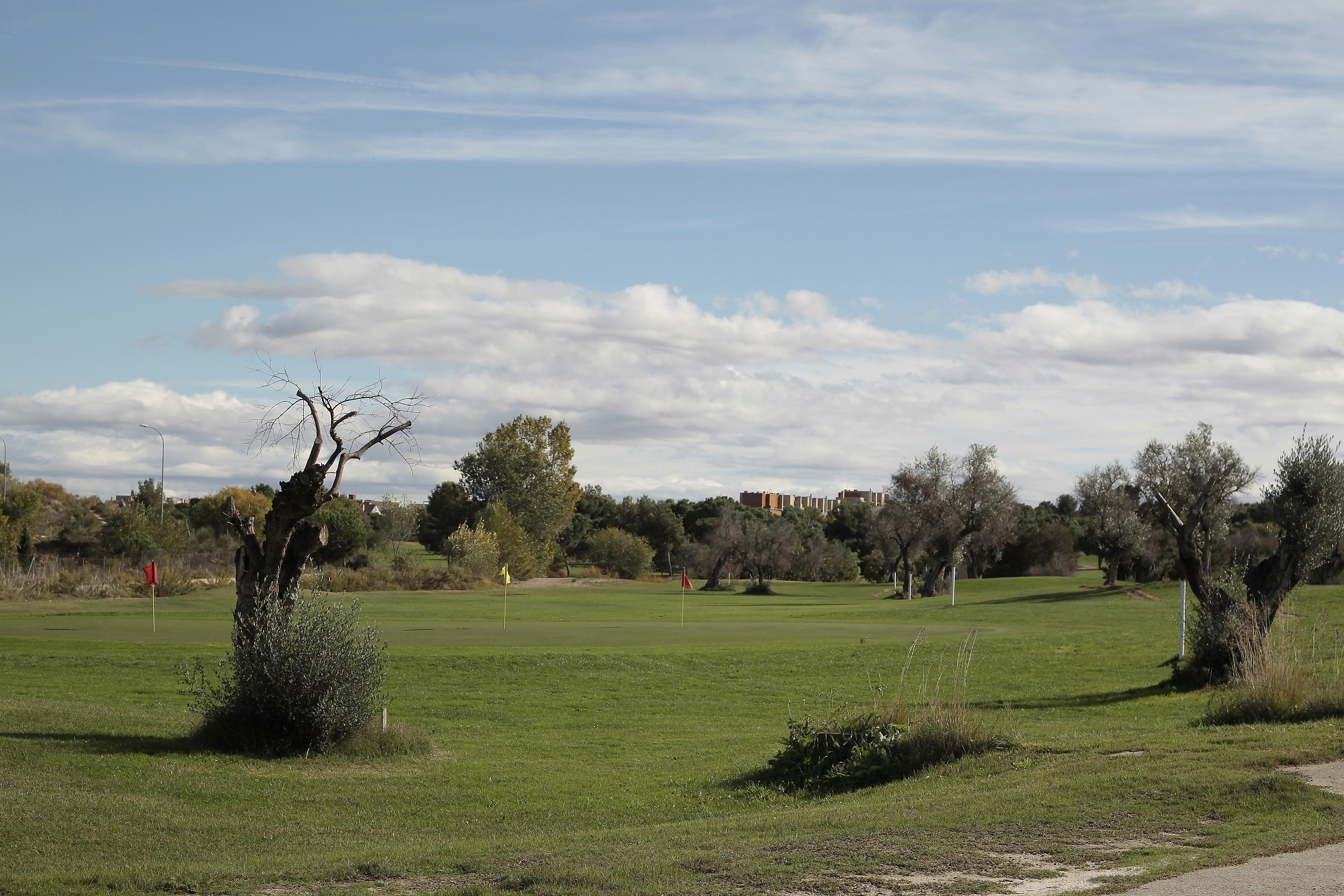 Club de Golf Olivar de la Hinojosa | Golf i Madrid