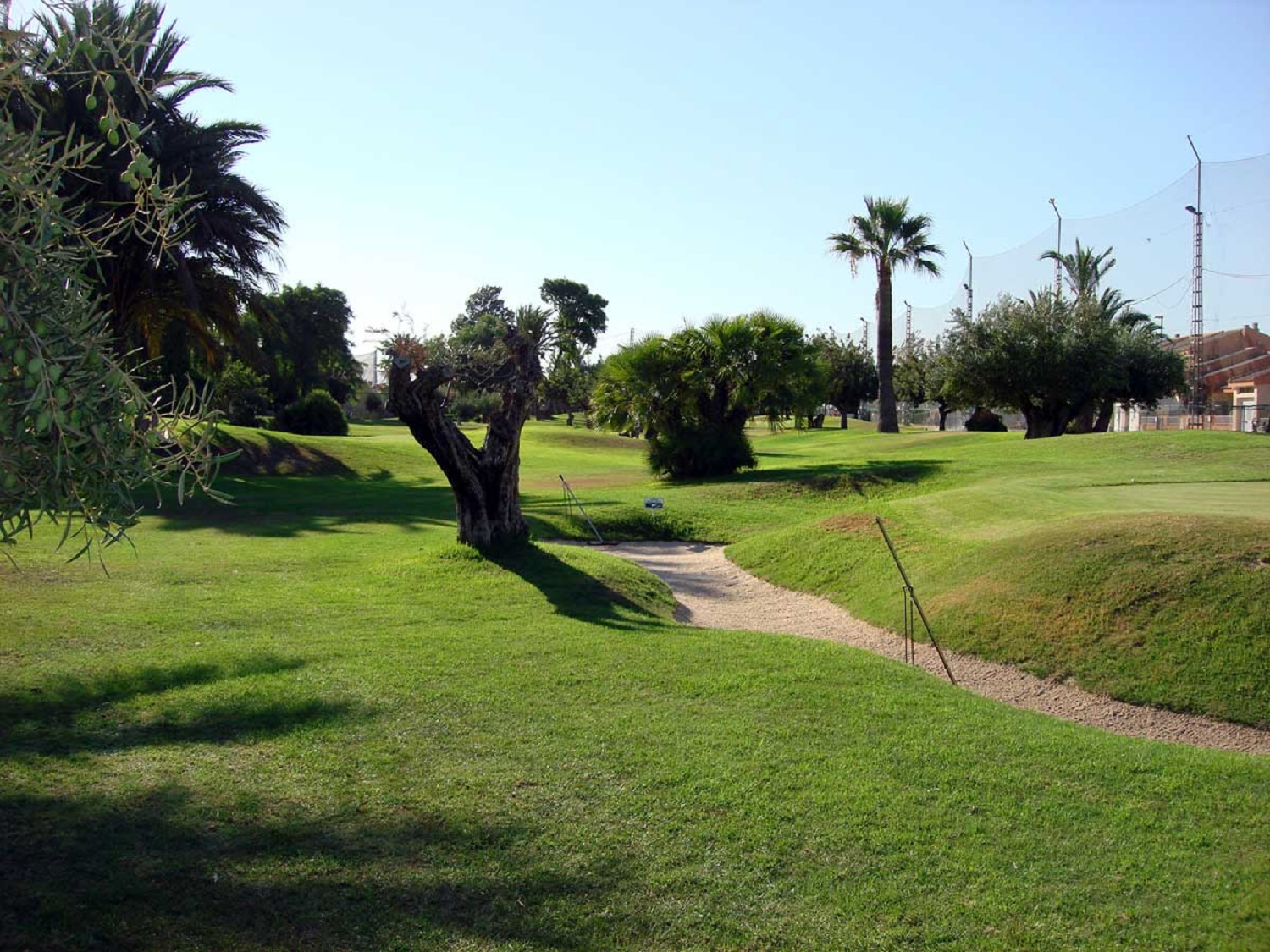 Club de Golf Torre Pacheco | Golf i Murcia