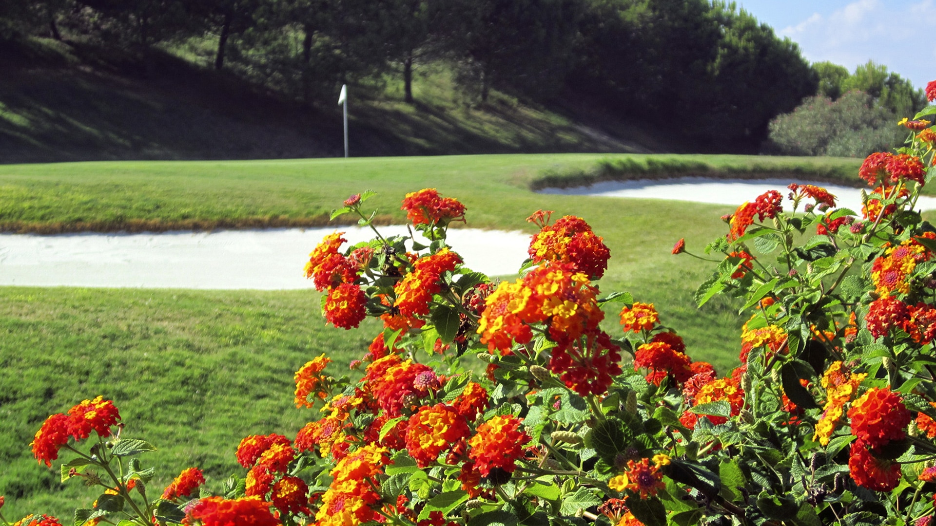 Doña Julia Golf Club