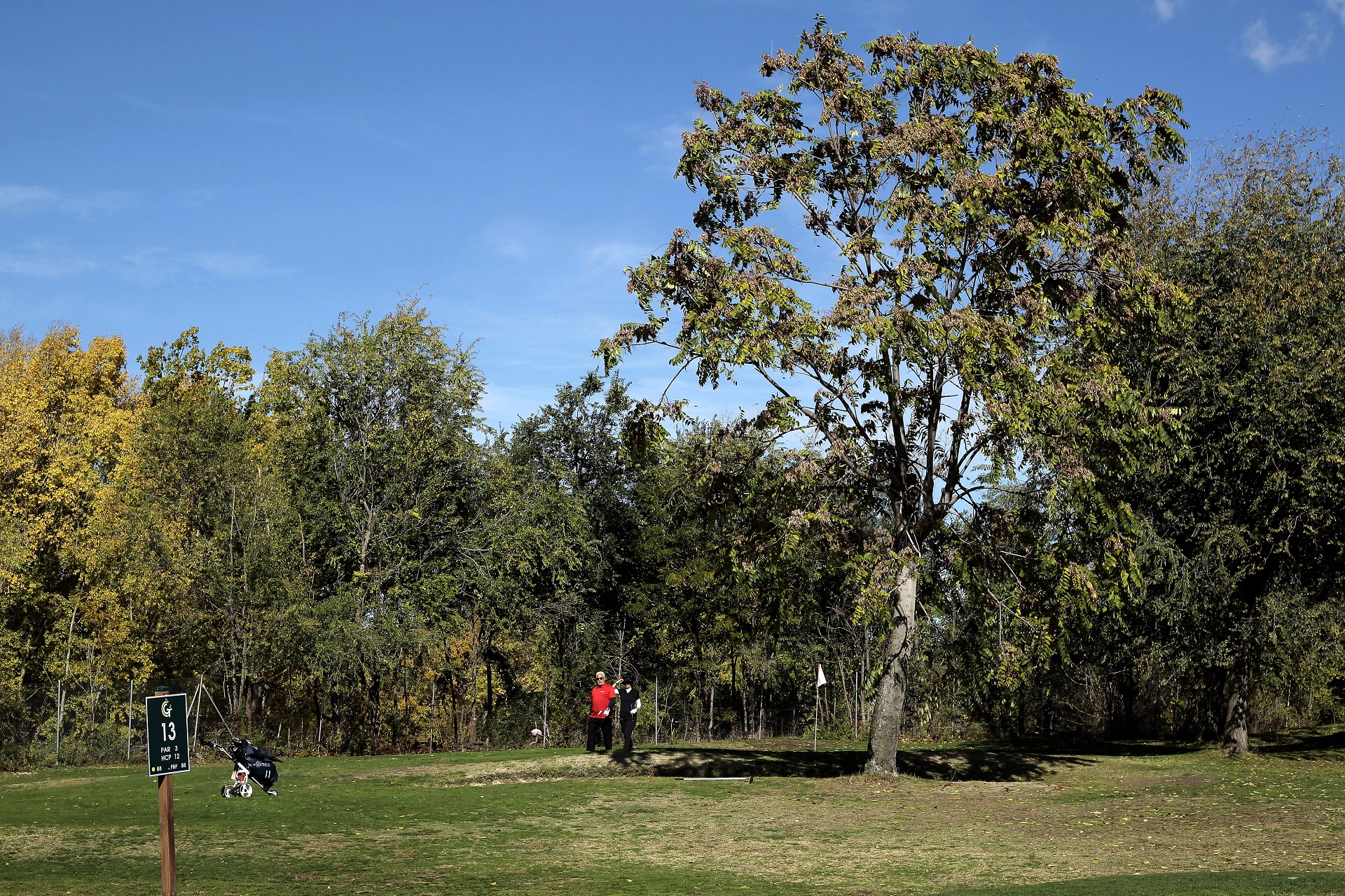 Escuela de Golf de la Federación de Madrid