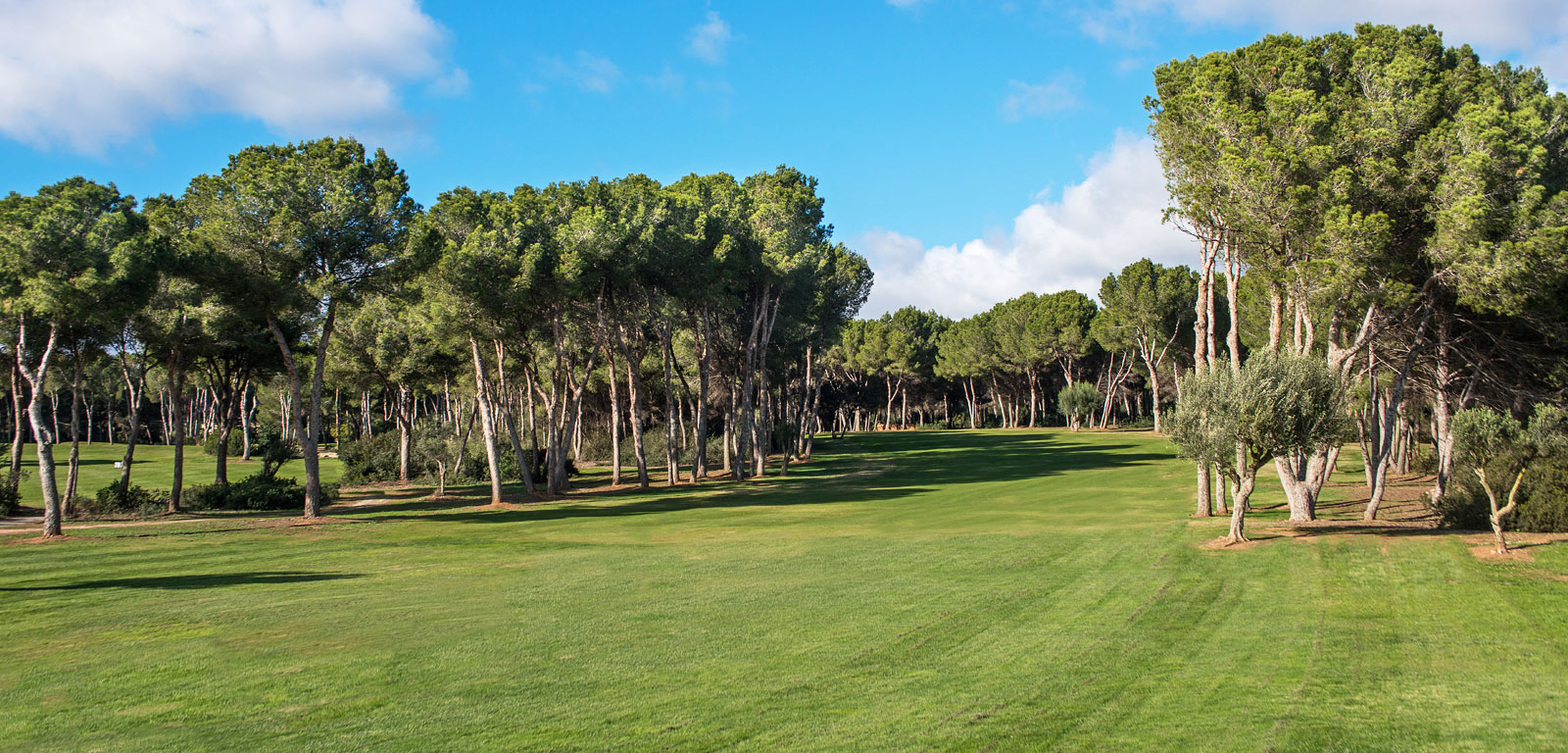 Golf Santa Ponsa II | Golf på Mallorca