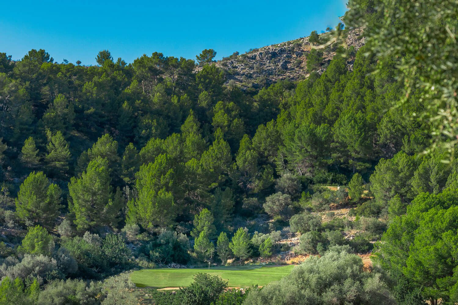 Golf Son Termes | Golf på Mallorca