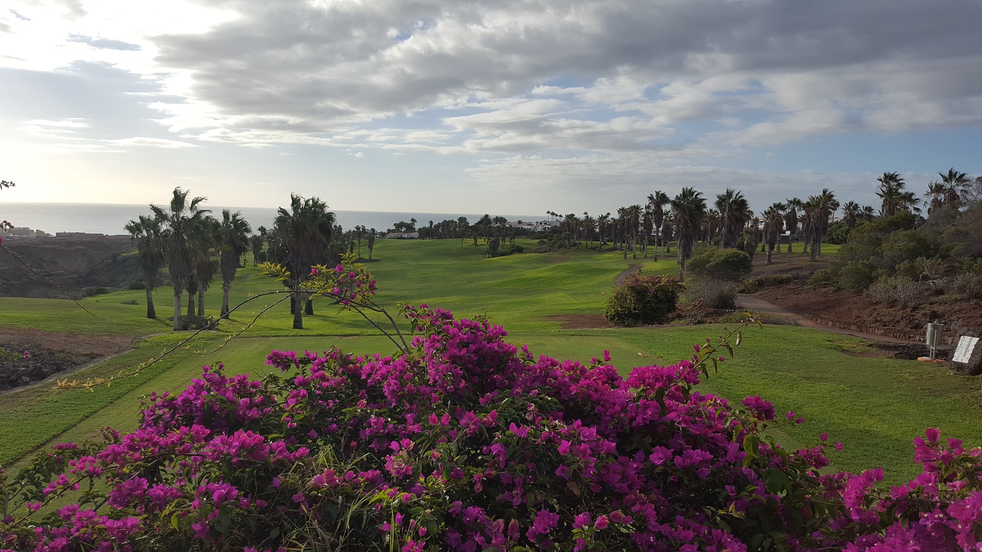 Golf del Sur | Golf på Tenerife