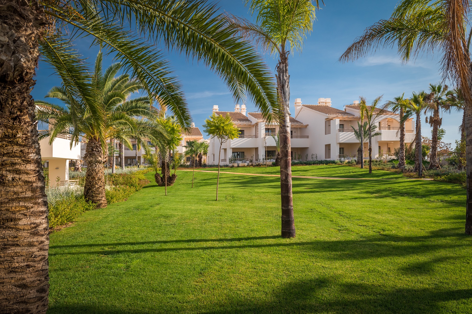 Ona Hacienda del Alamo Golf Resort | Golf i Murcia