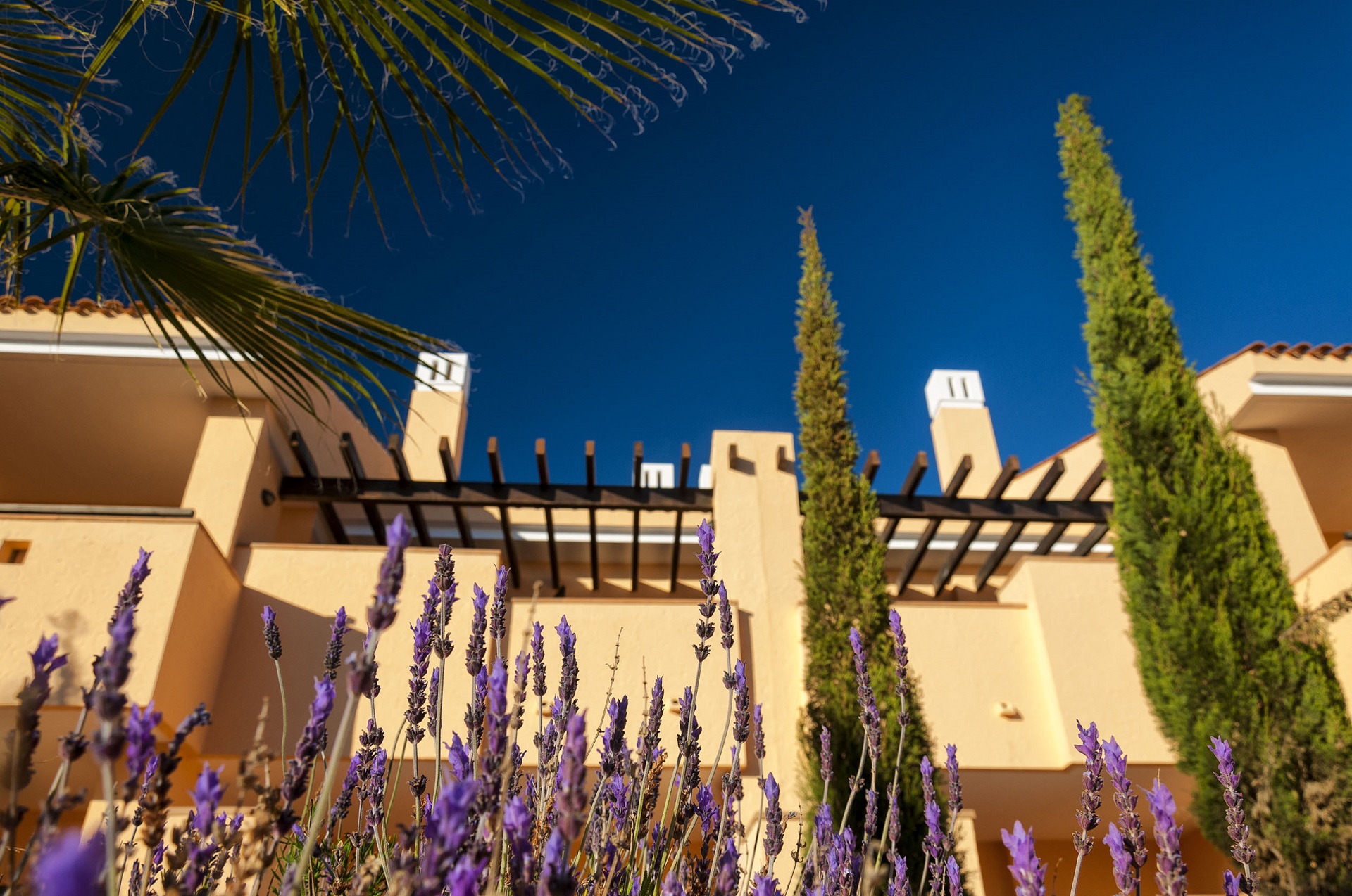Ona Hacienda del Alamo Golf Resort | Golf i Murcia