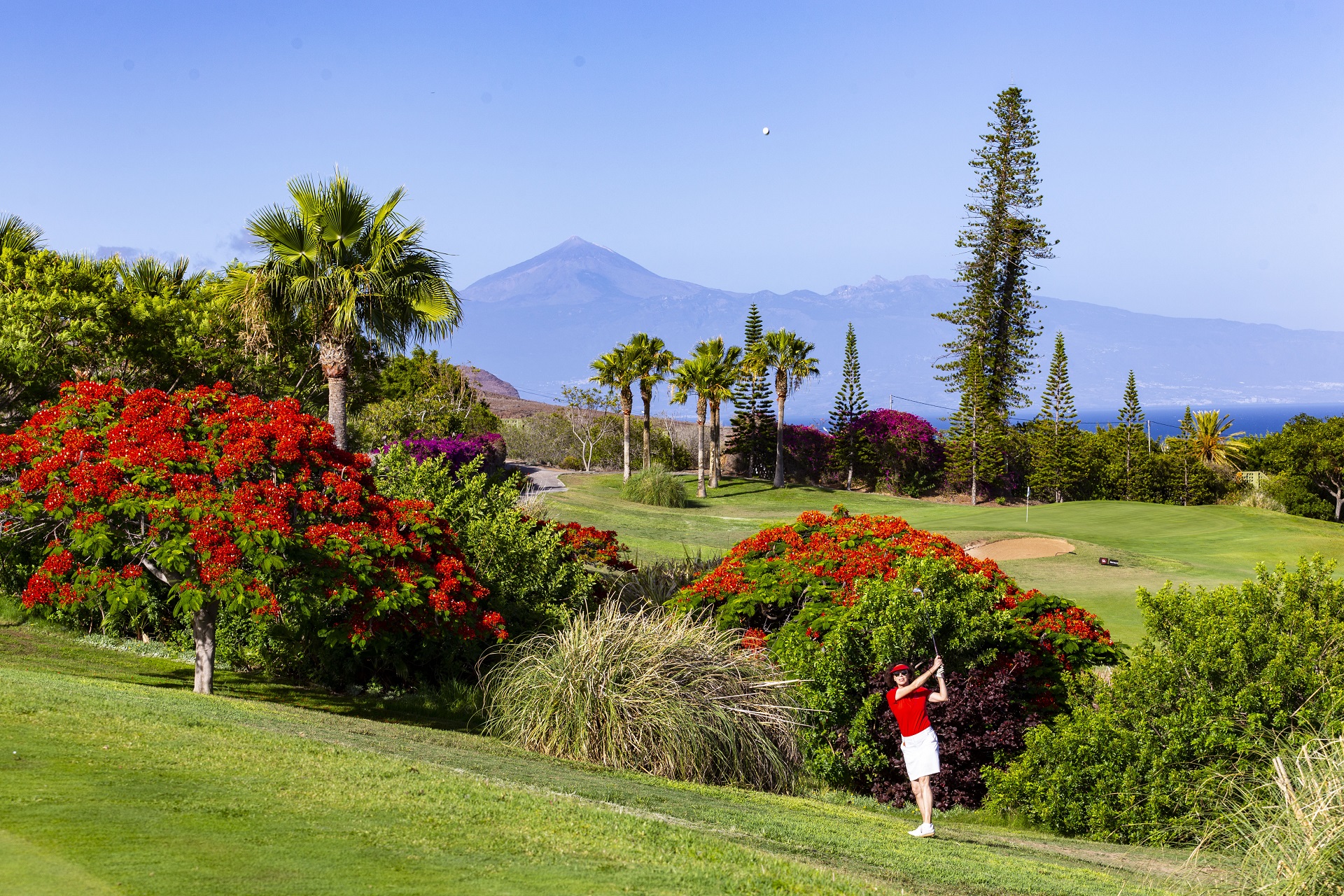 Hotel Jardín Tecina & Tecina Golf