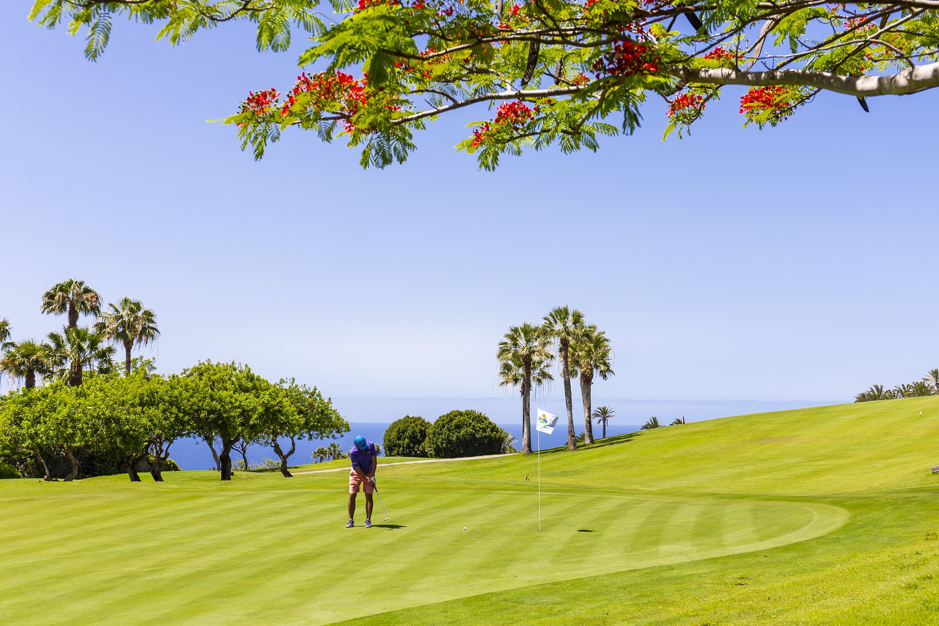 Hotel Jardín Tecina & Tecina Golf