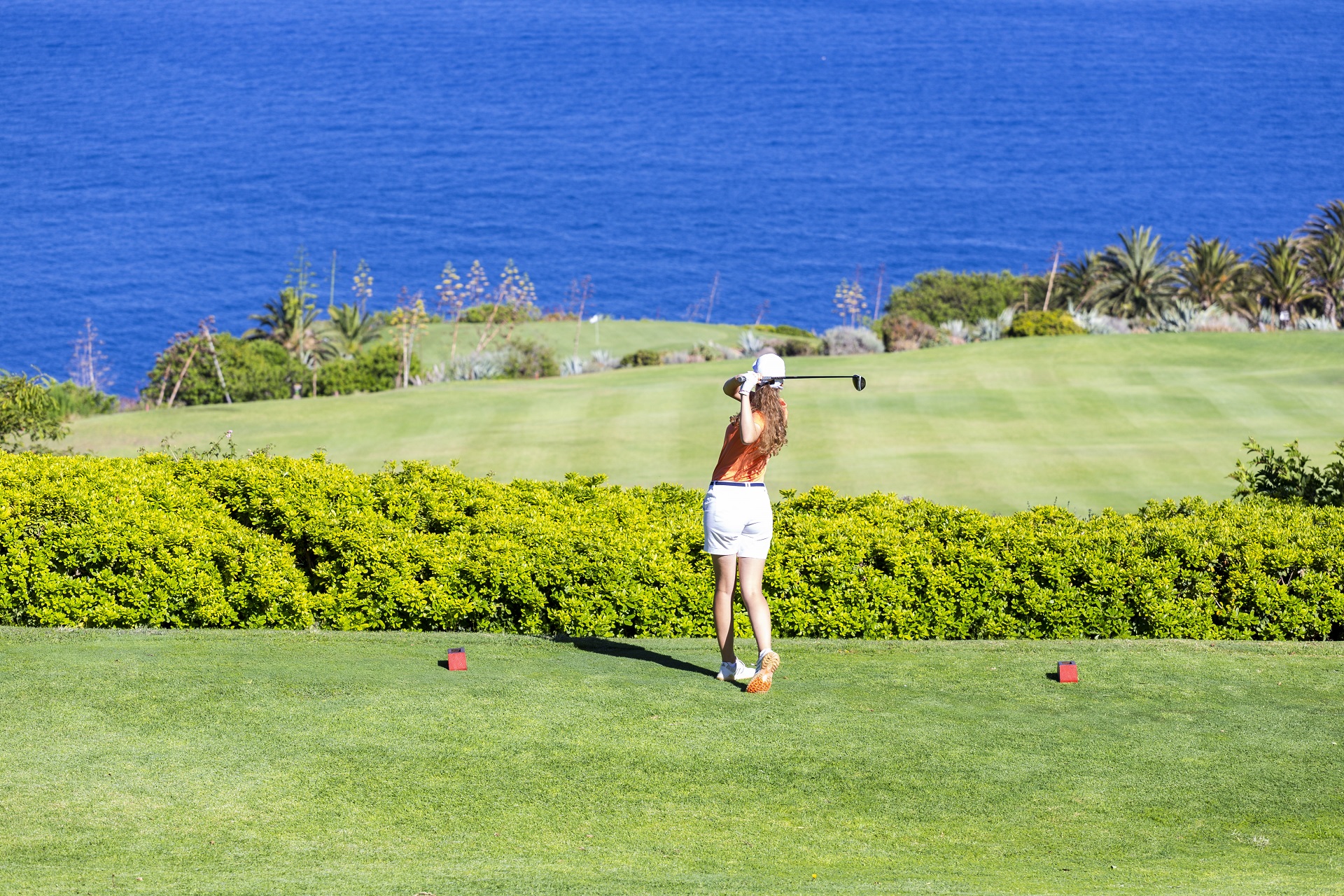 Hotel Jardín Tecina & Tecina Golf