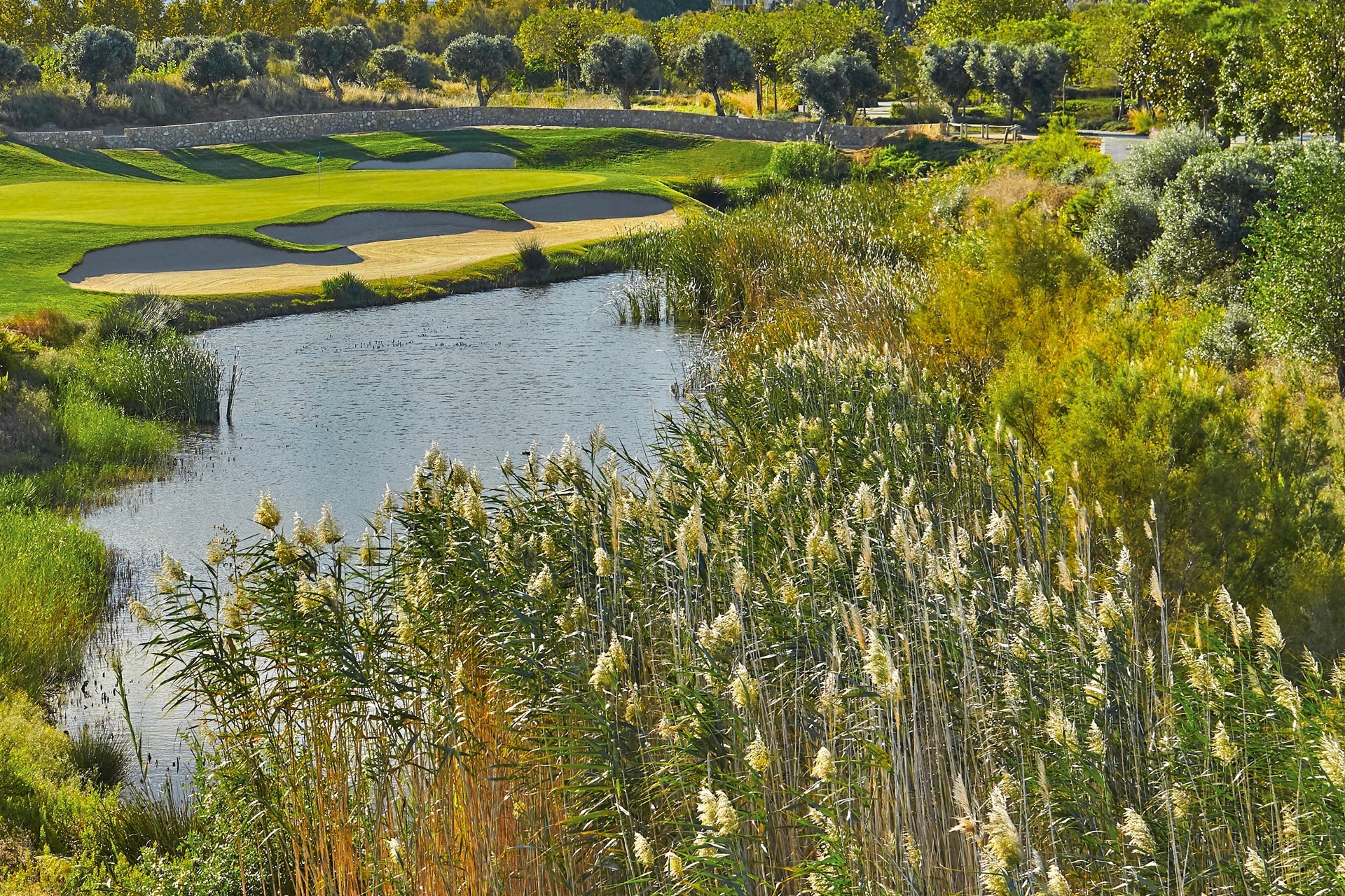 INFINITUM | Lakes Course