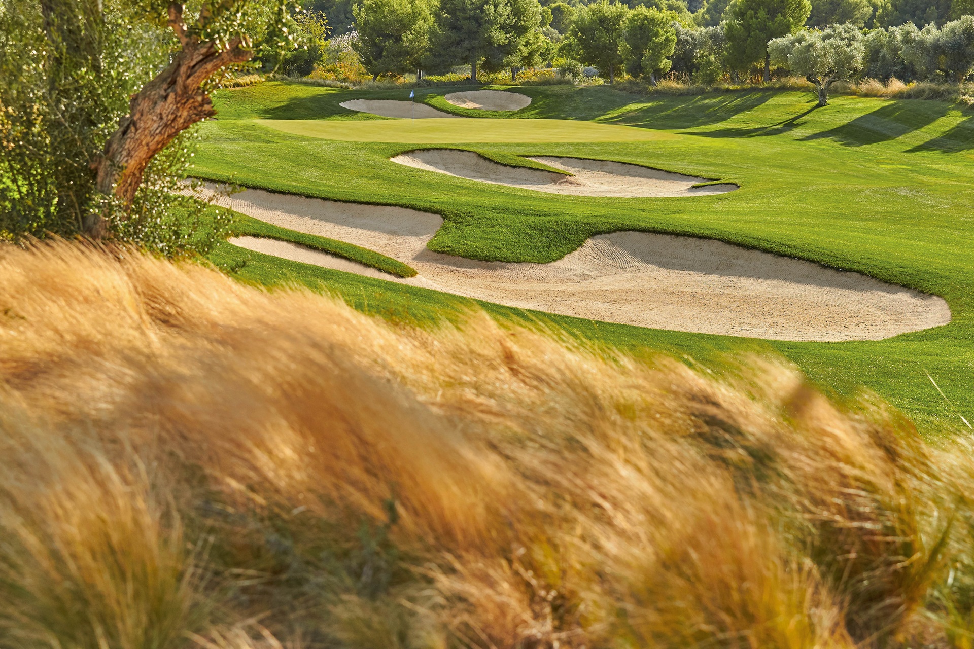 INFINITUM | Lakes Course