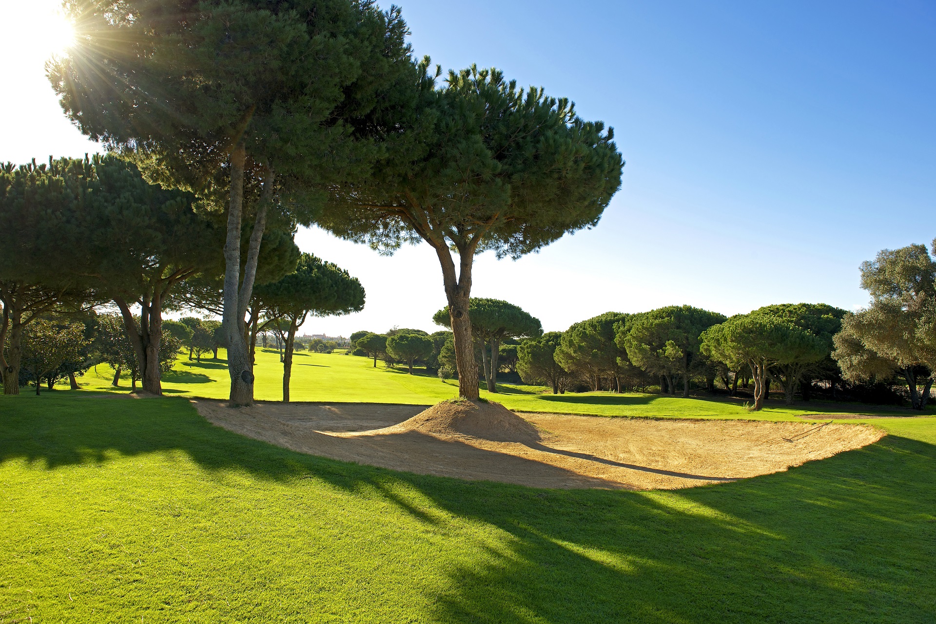 Iberostar Royal Andalus & Novo Sancti Petri Golf Course