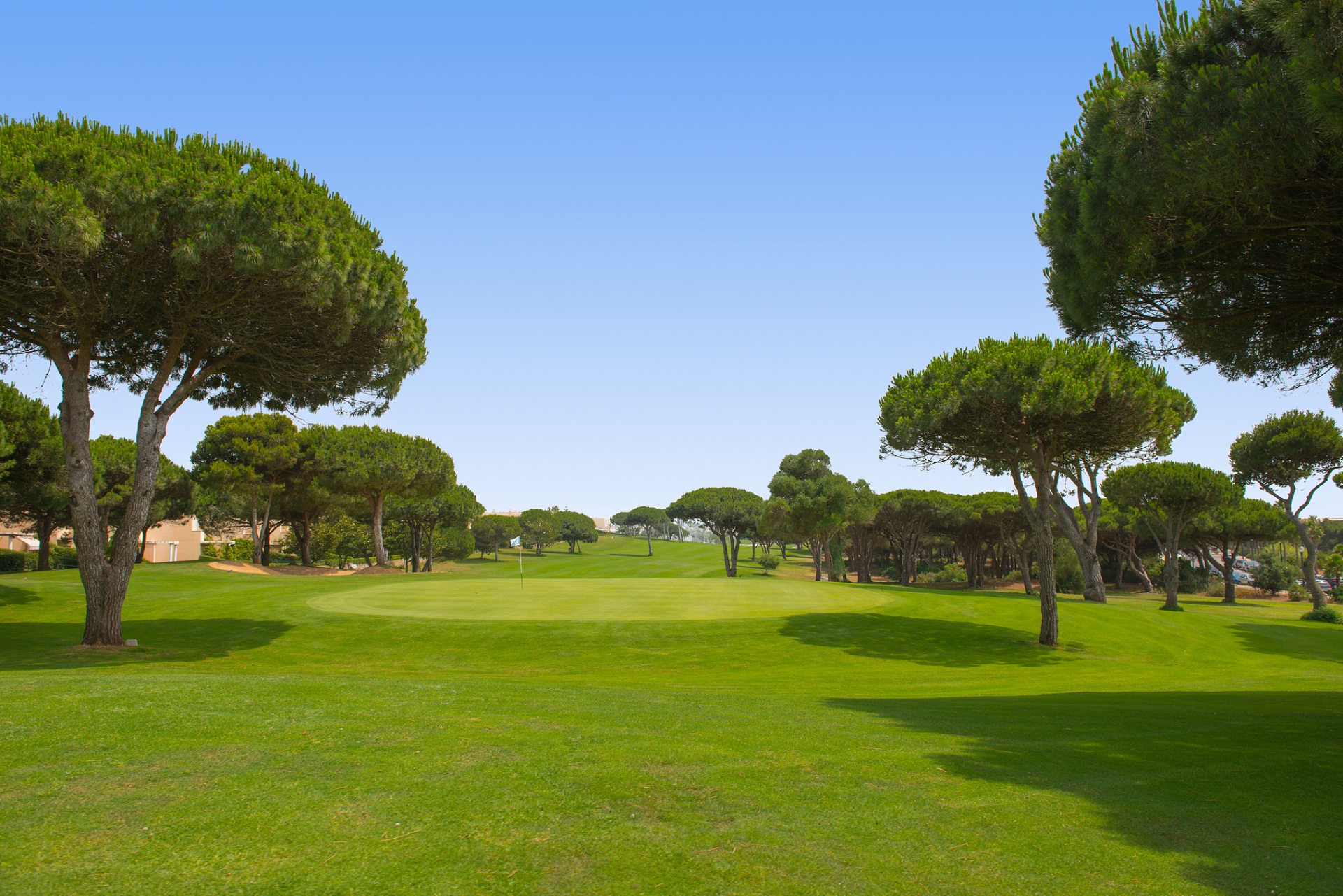 Iberostar Royal Andalus & Novo Sancti Petri Golf Course