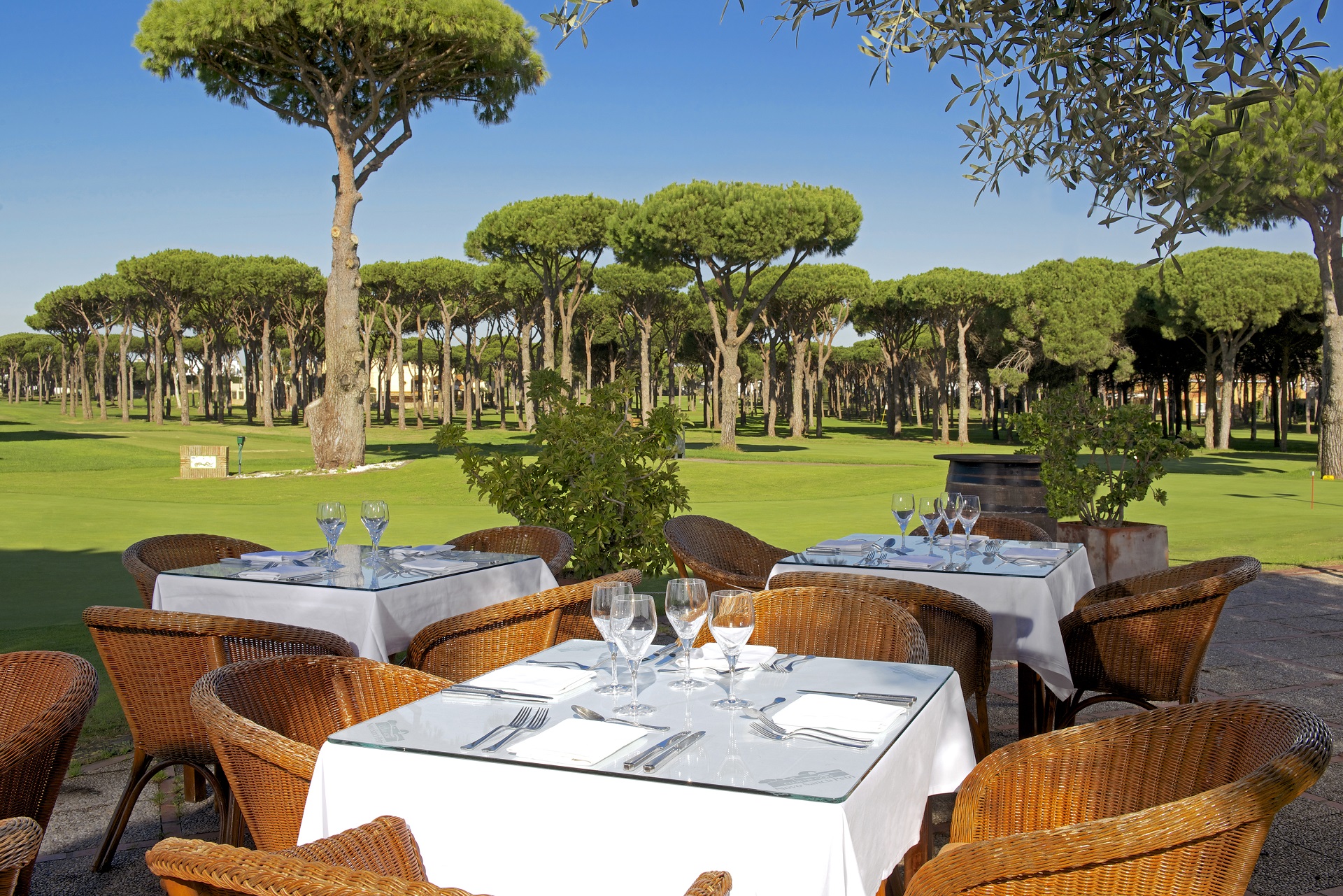 Iberostar Royal Andalus & Novo Sancti Petri Golf Course