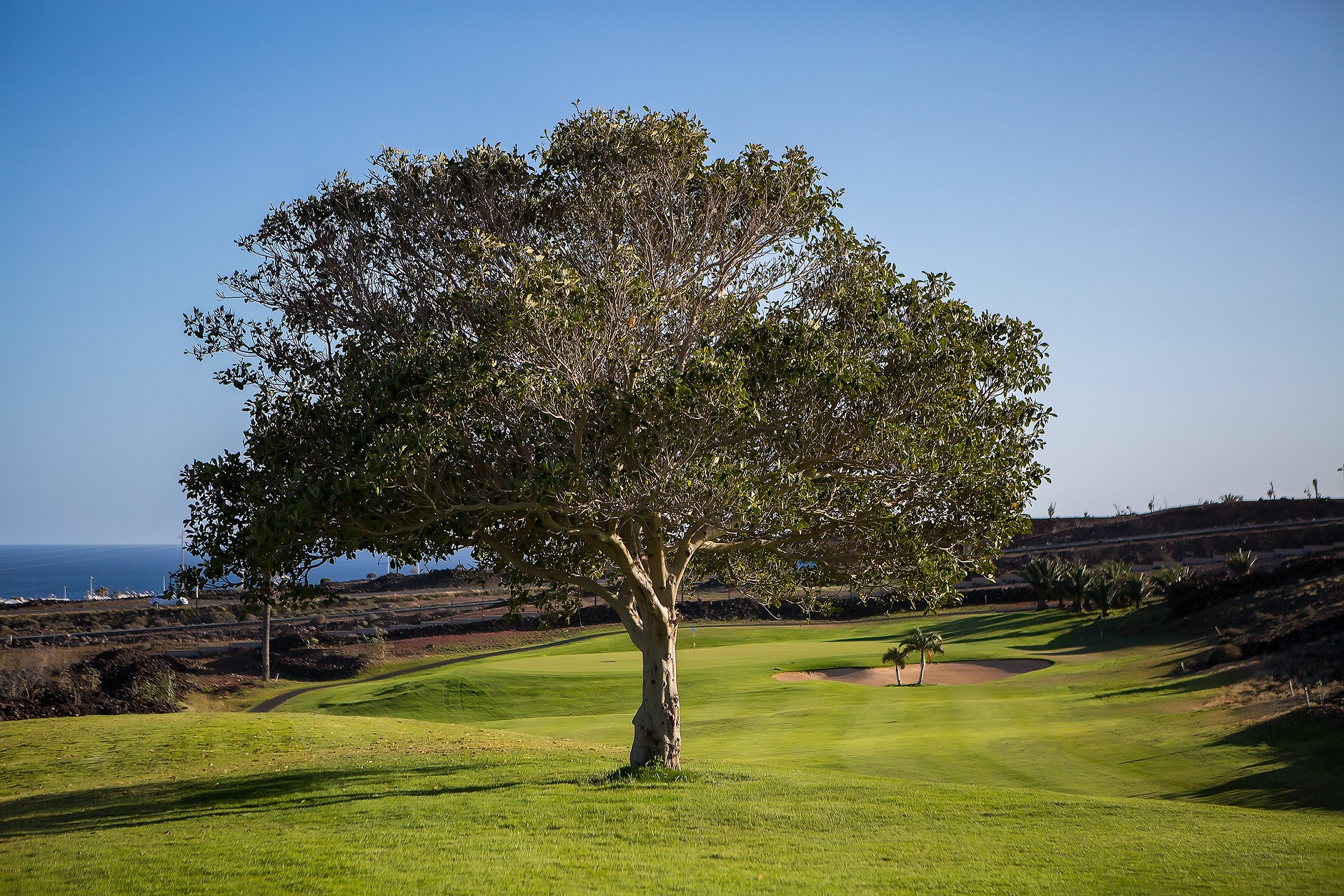 Lanzarote Golf
