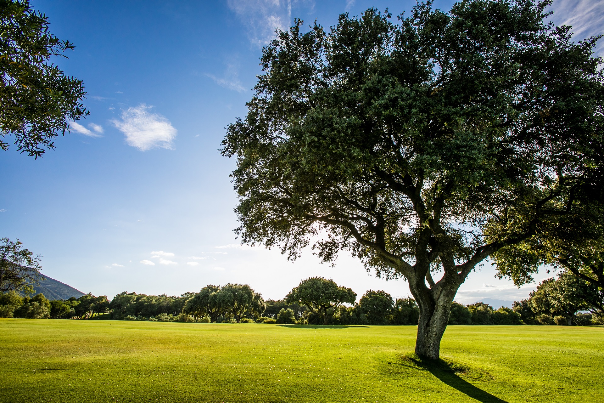 Lauro Golf Resort