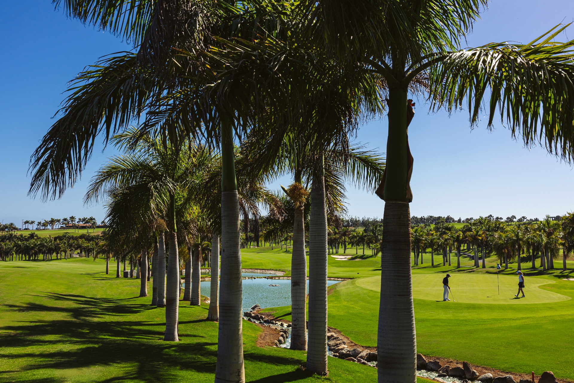 Meloneras Golf by Lopesan | Golf på Gran Canaria