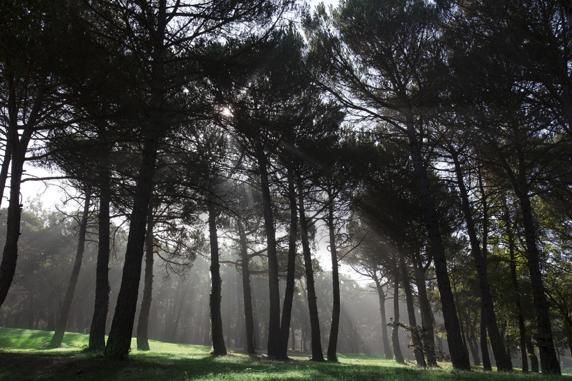 Montanyà Golf Club