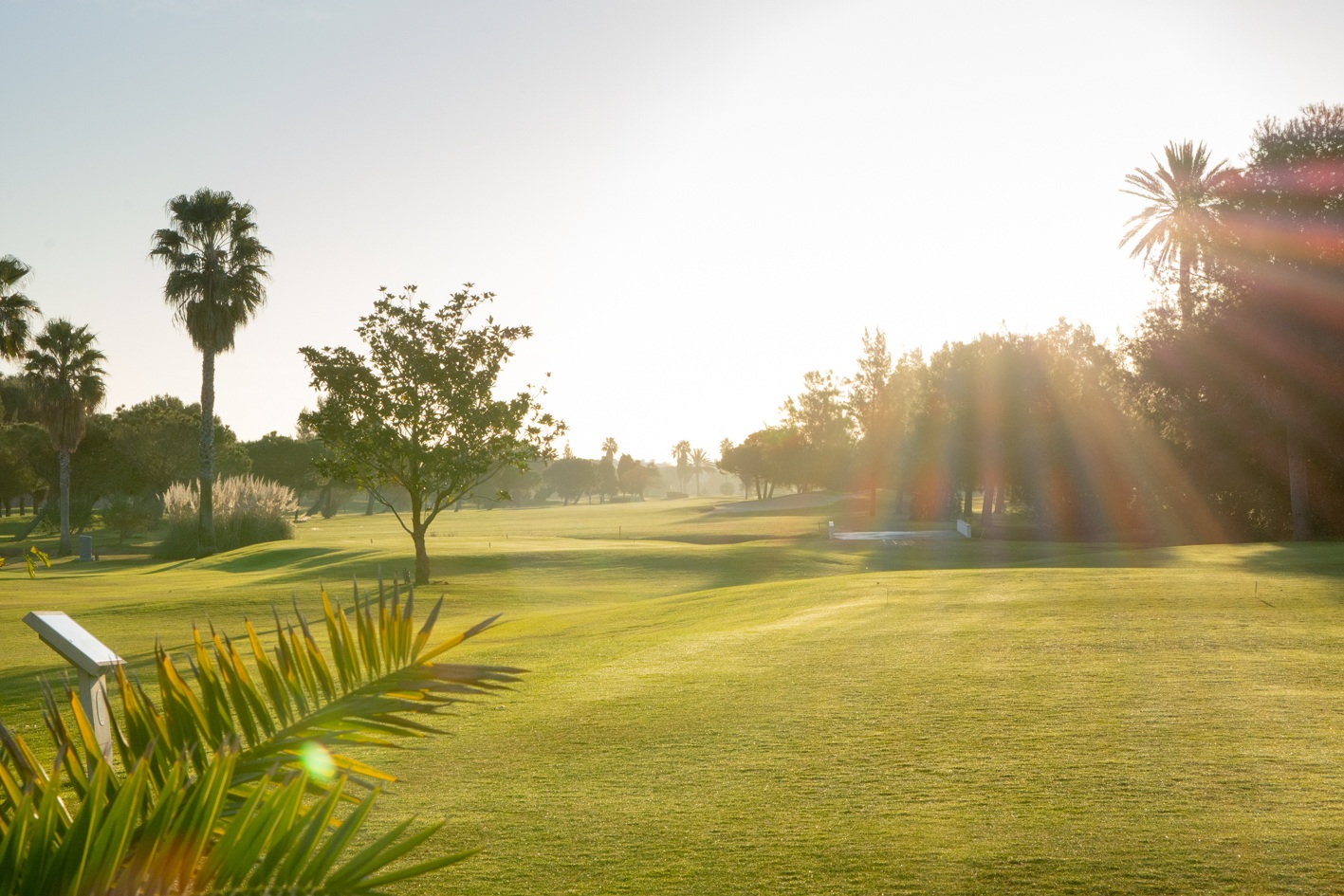 Oliva Nova Beach & Golf Resort