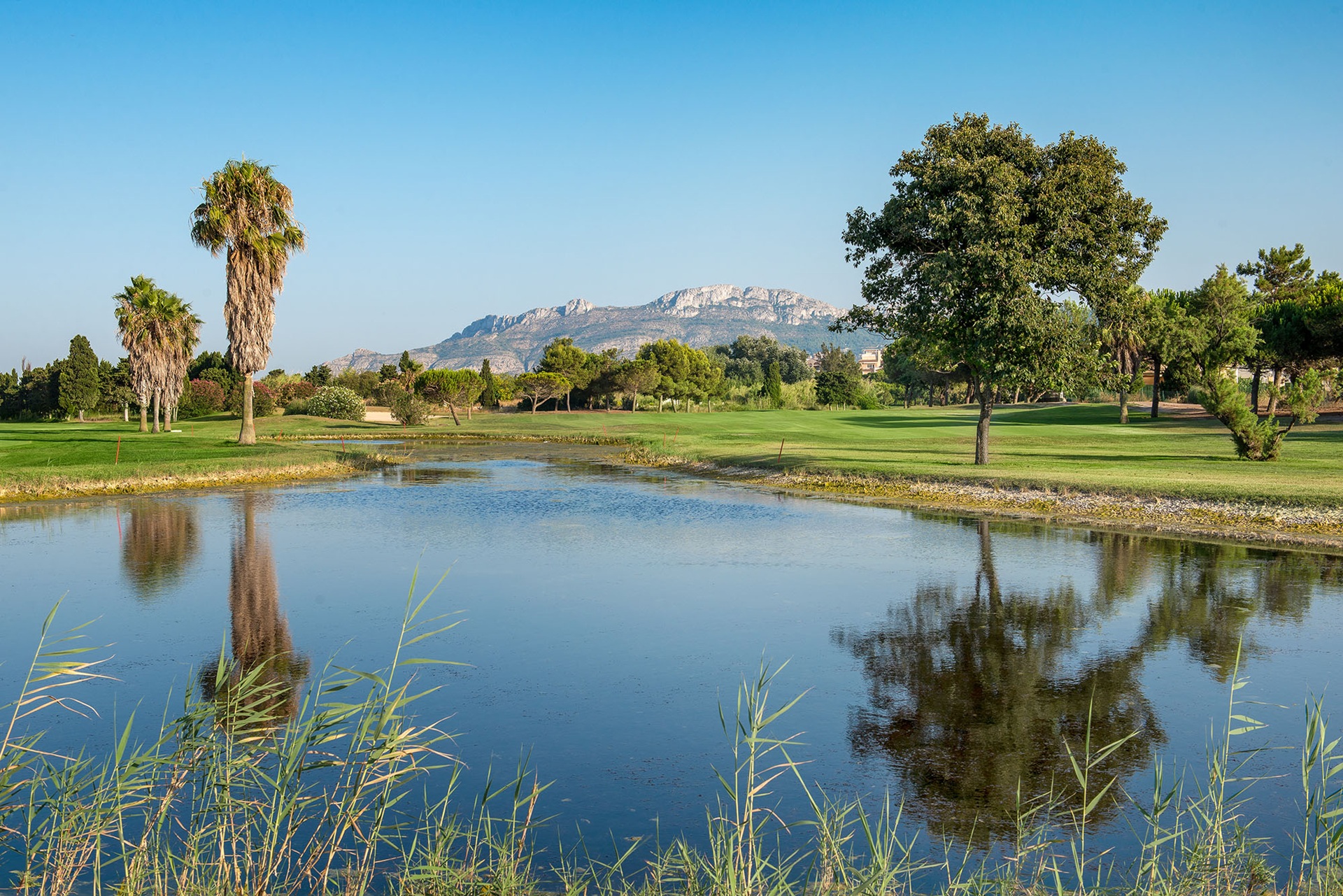 Oliva Nova Beach & Golf Resort