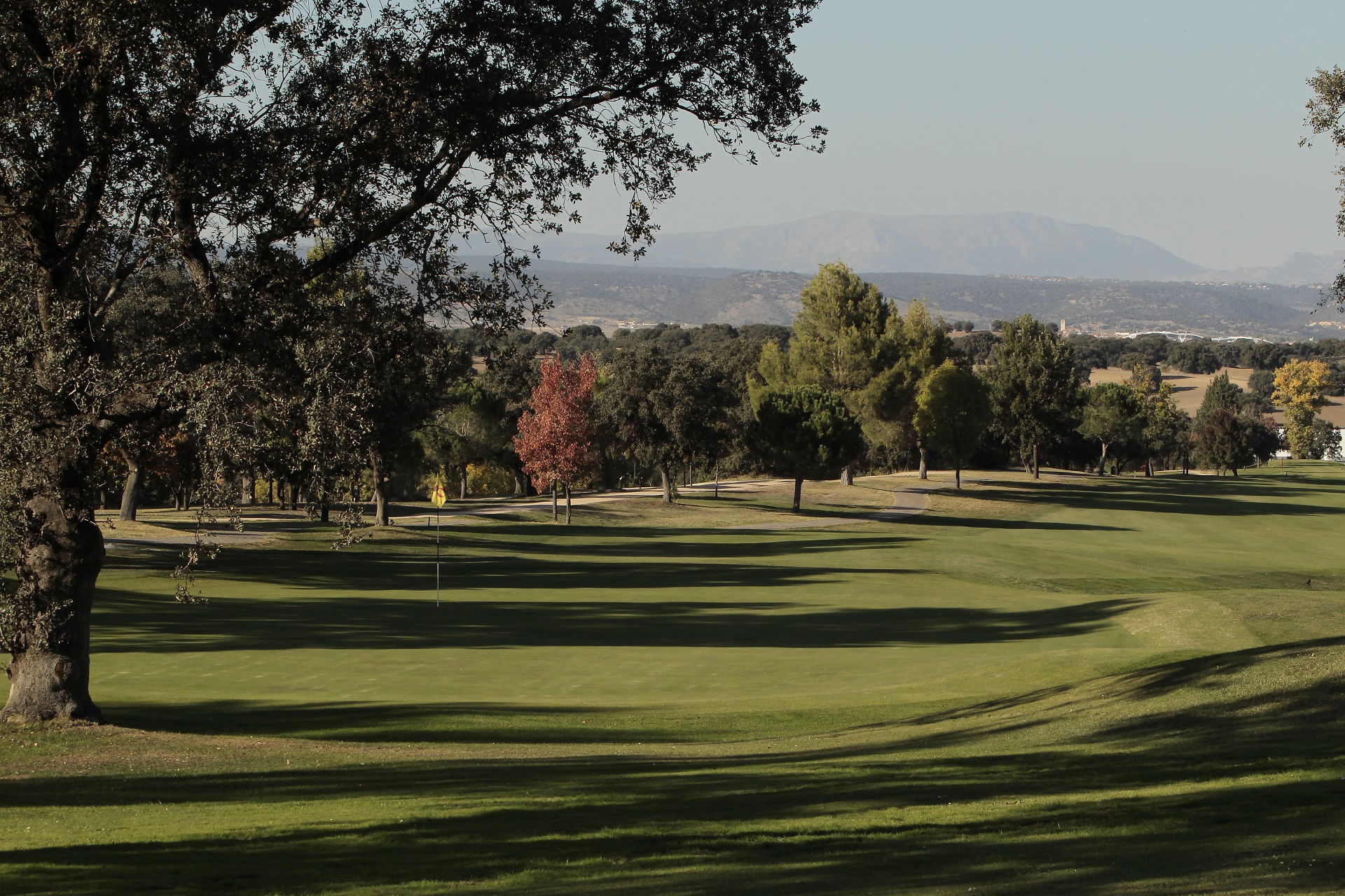 Real Automóvil Club de España RACE | Golf i Madrid