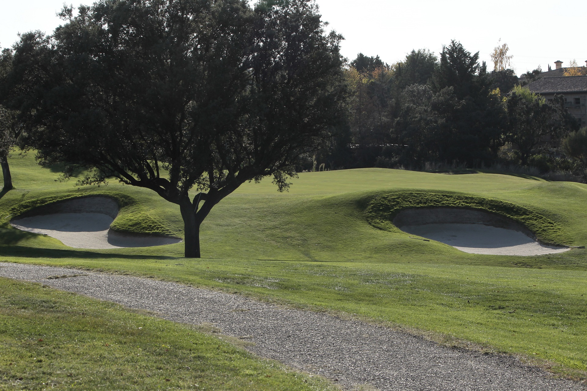 Real Automóvil Club de España RACE | Golf i Madrid