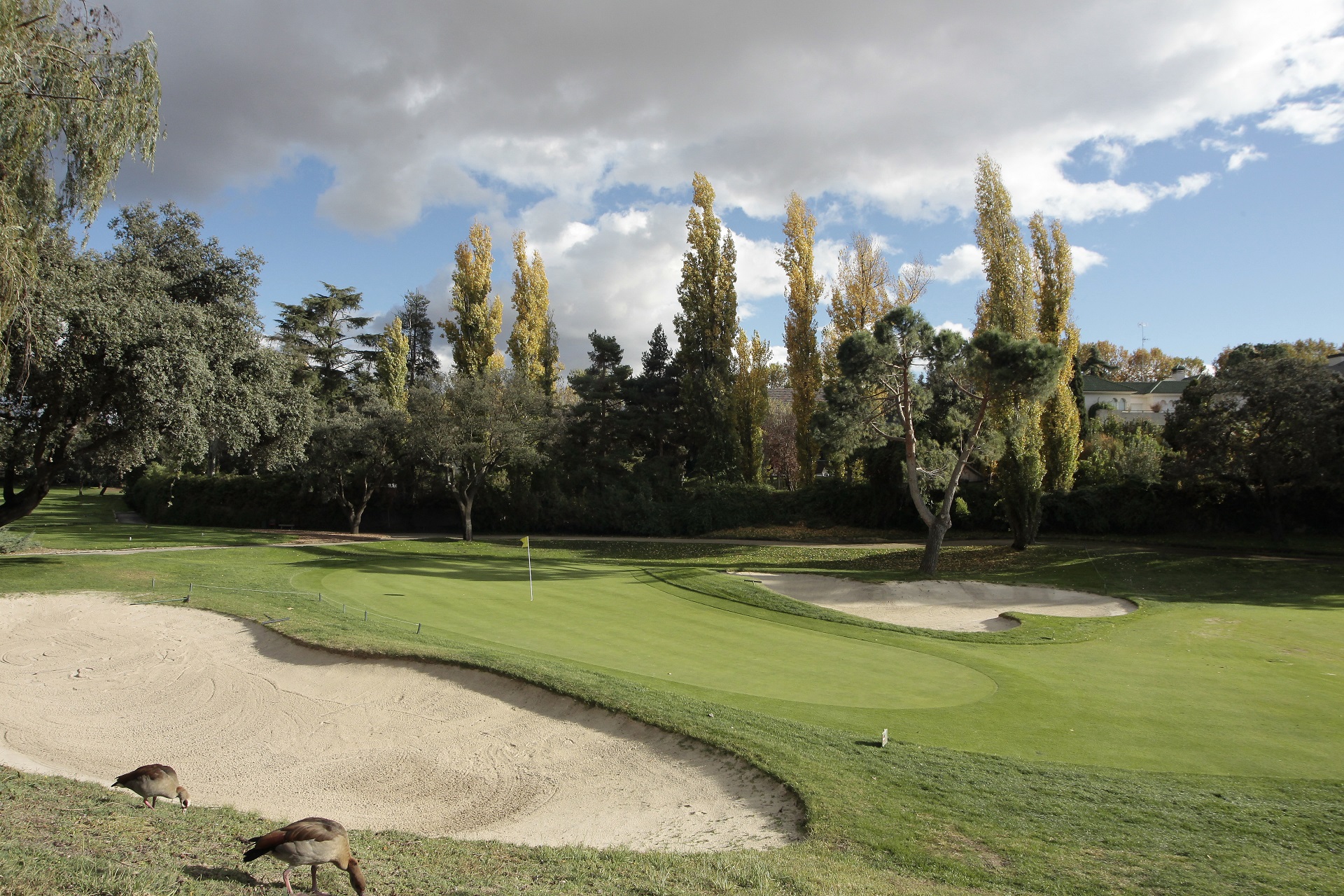 Real Club La Moraleja | Golf i Madrid