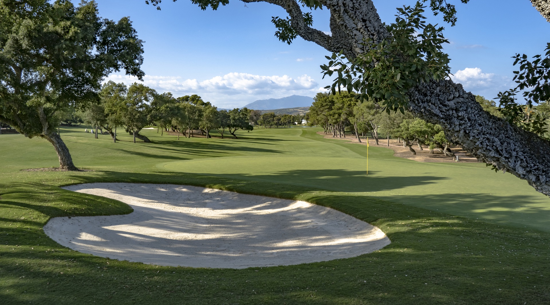 Real Club de Golf Sotogrande