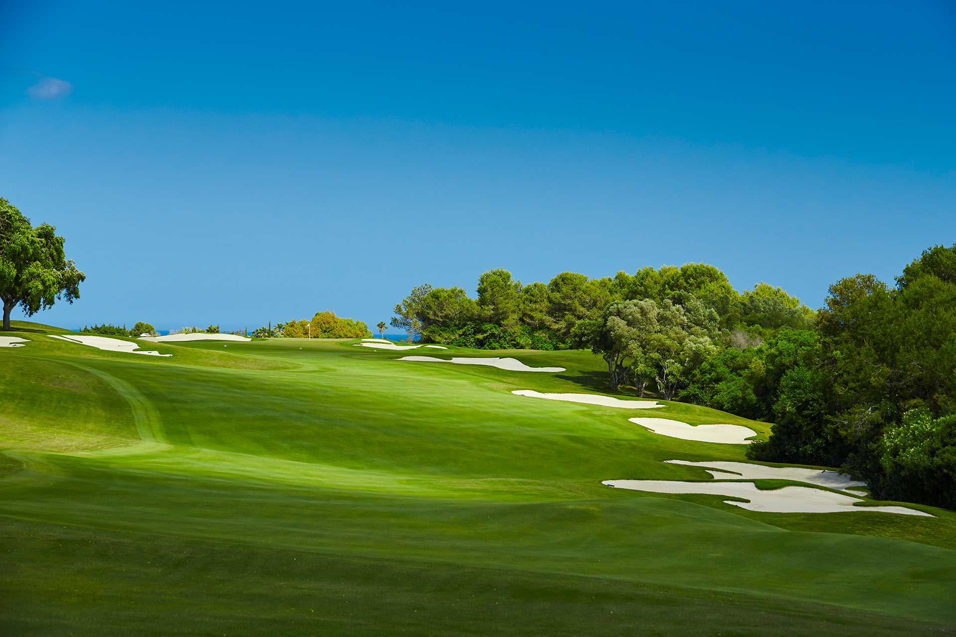 Real Club de Golf Valderrama