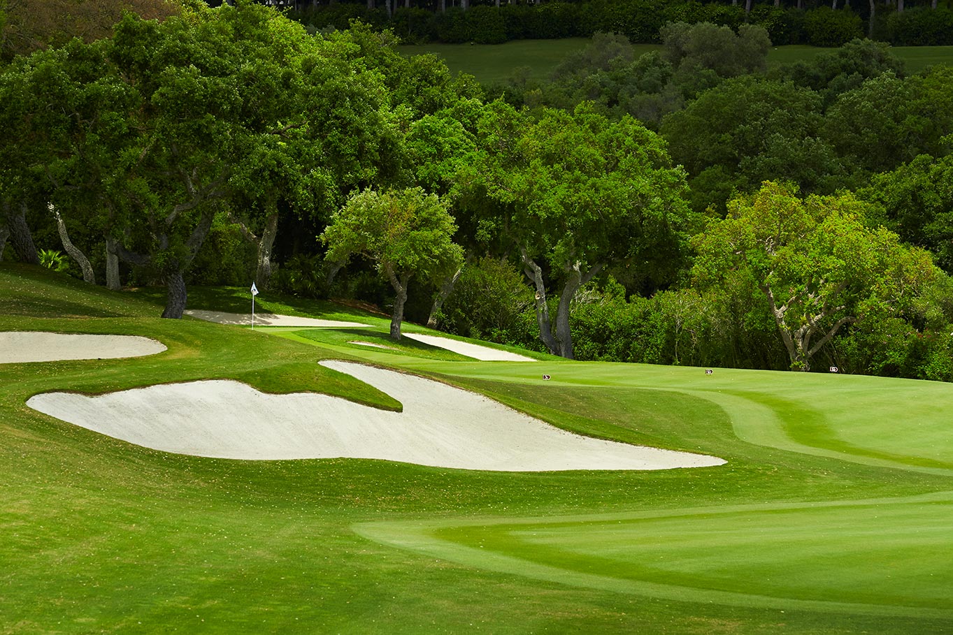 Real Club de Golf Valderrama