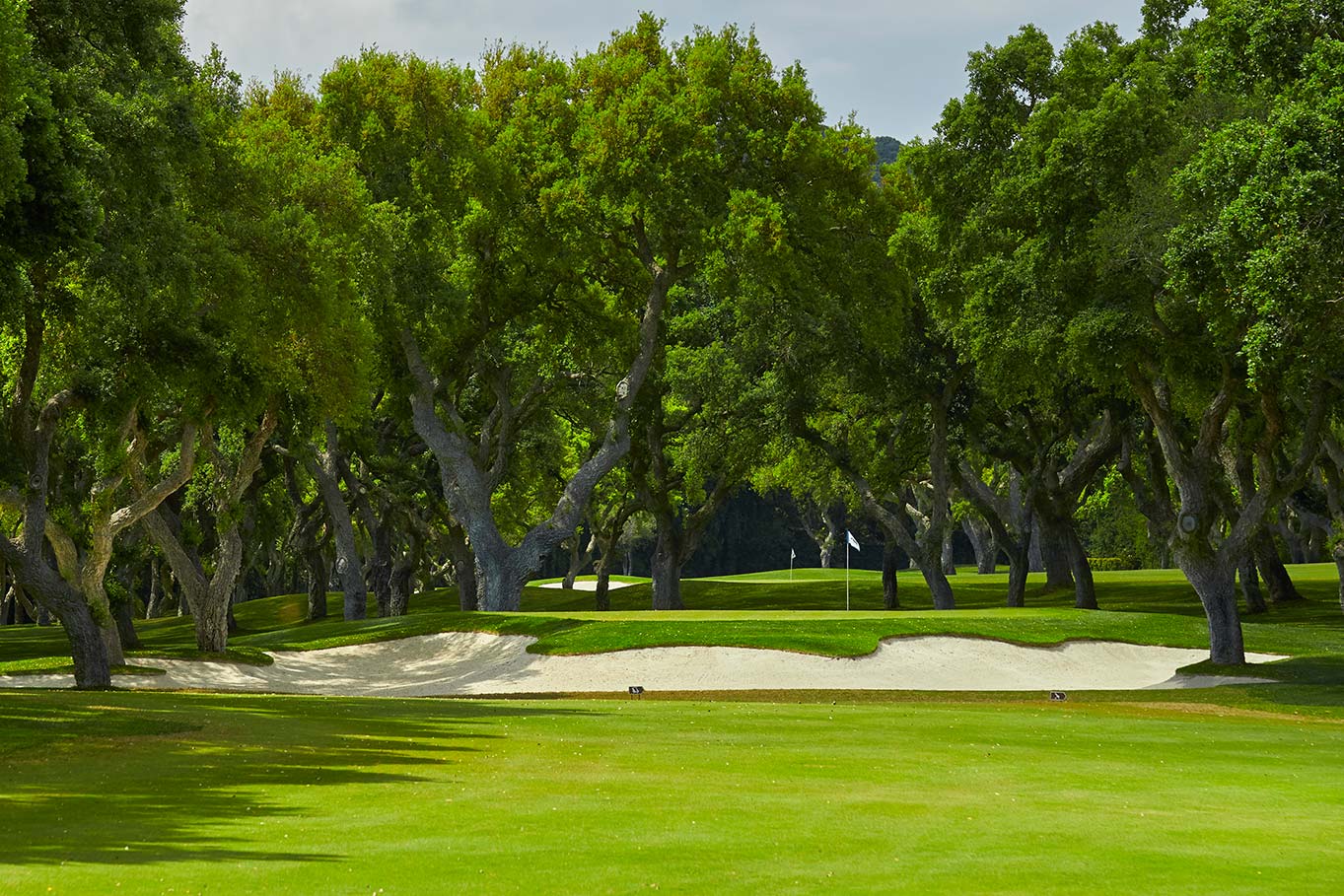 Real Club de Golf Valderrama