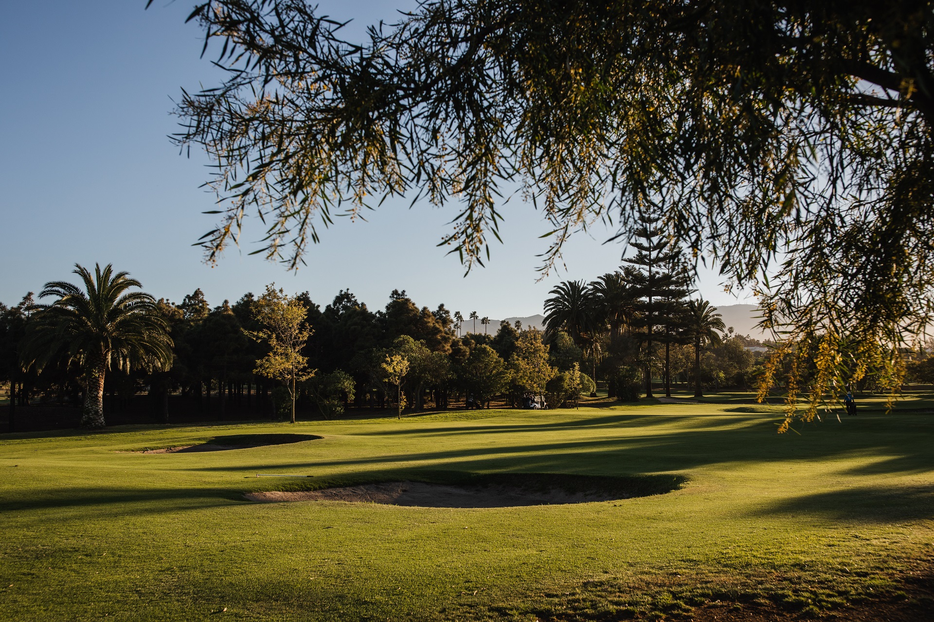 Real Club de Golf de Las Palmas | Golf på Gran Canaria