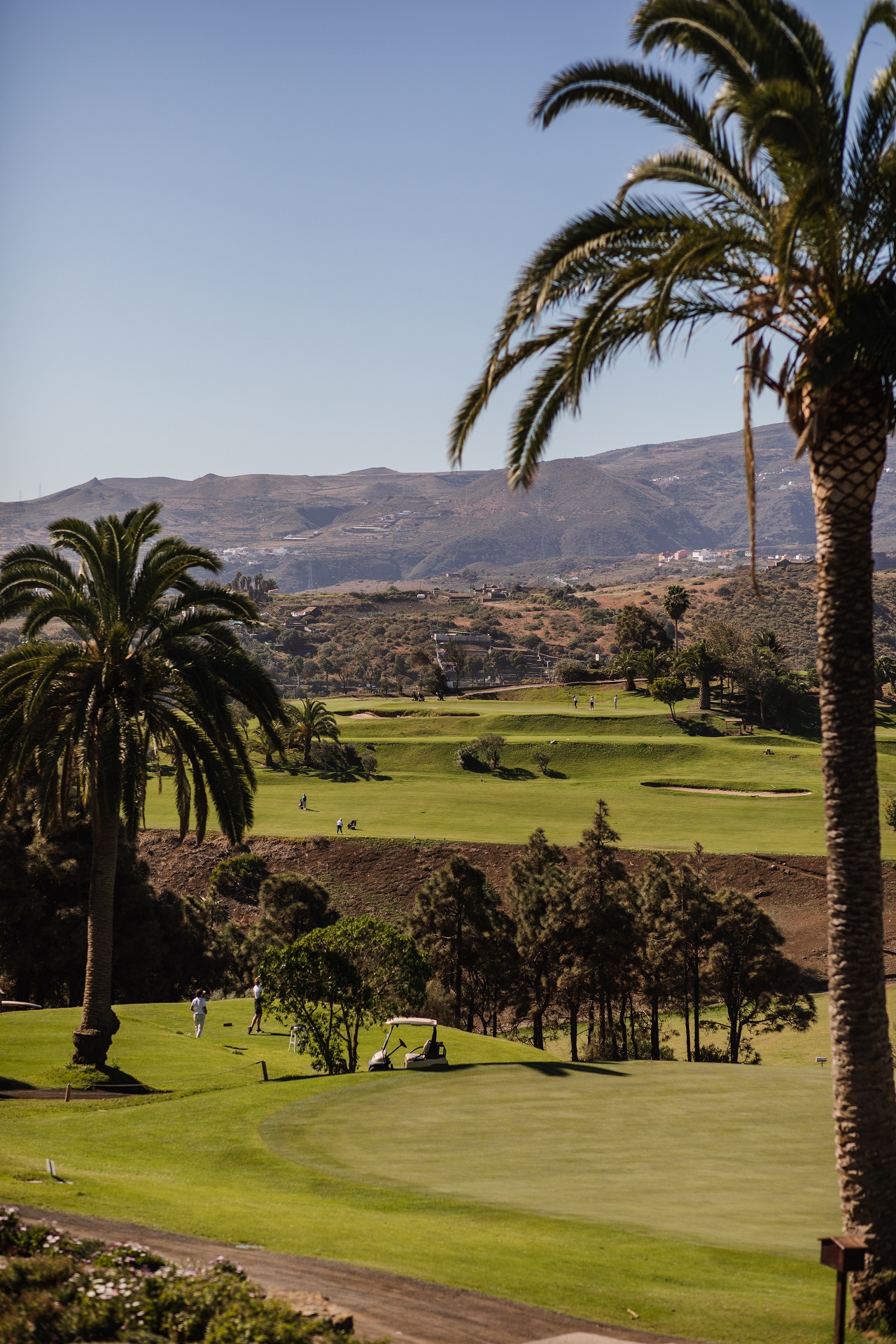 Real Club de Golf de Las Palmas | Golf på Gran Canaria