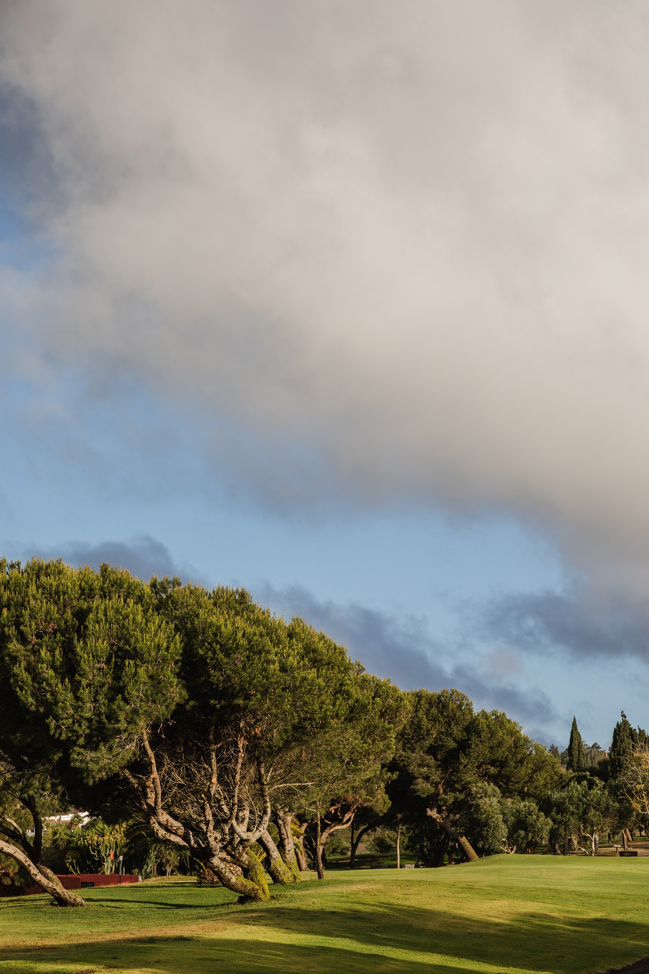 Real Club de Golf de Las Palmas | Golf på Gran Canaria