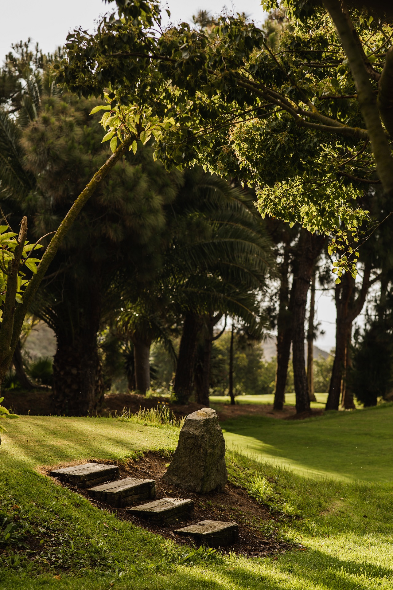 Real Club de Golf de Las Palmas | Golf på Gran Canaria