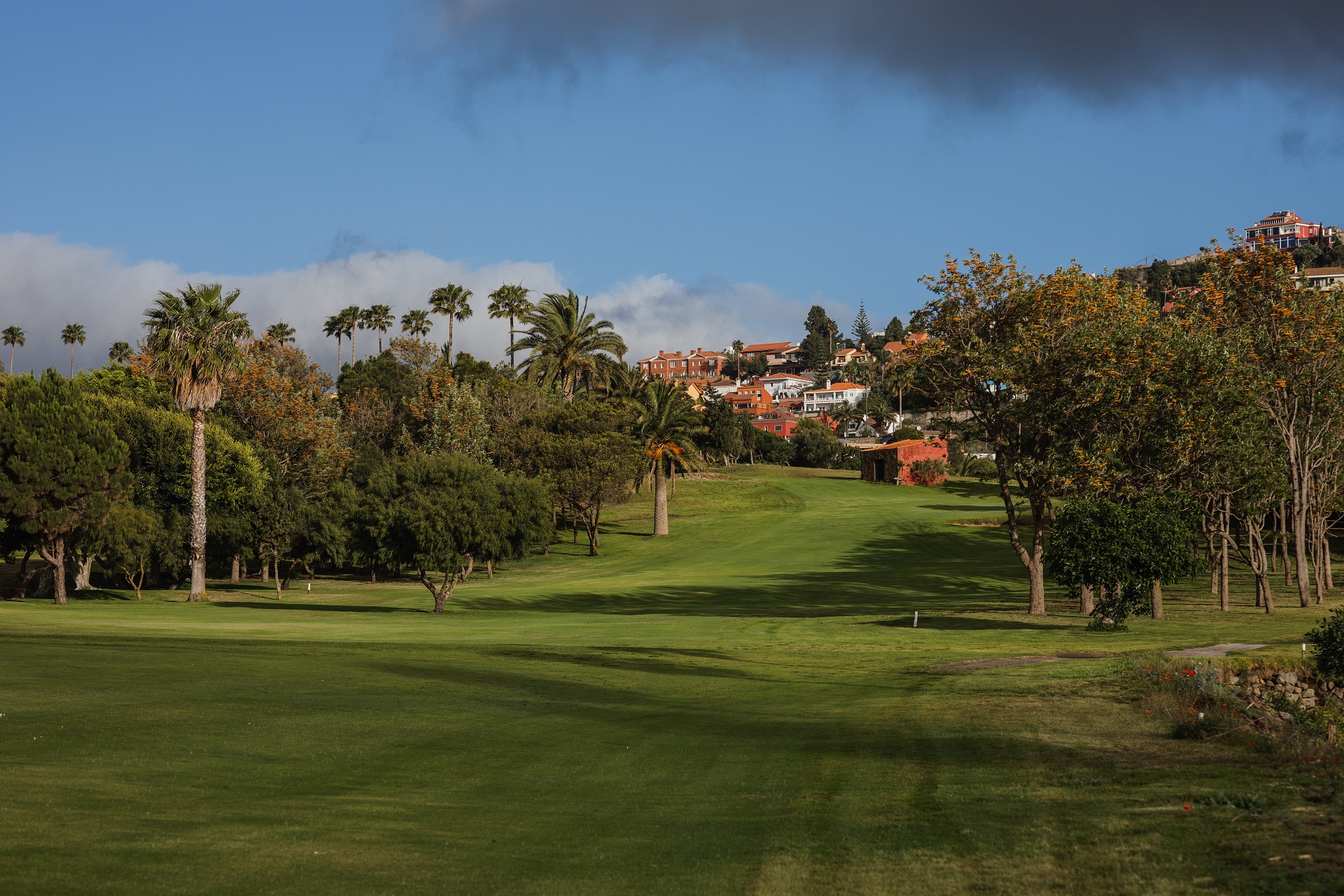 Real Club de Golf de Las Palmas | Golf på Gran Canaria