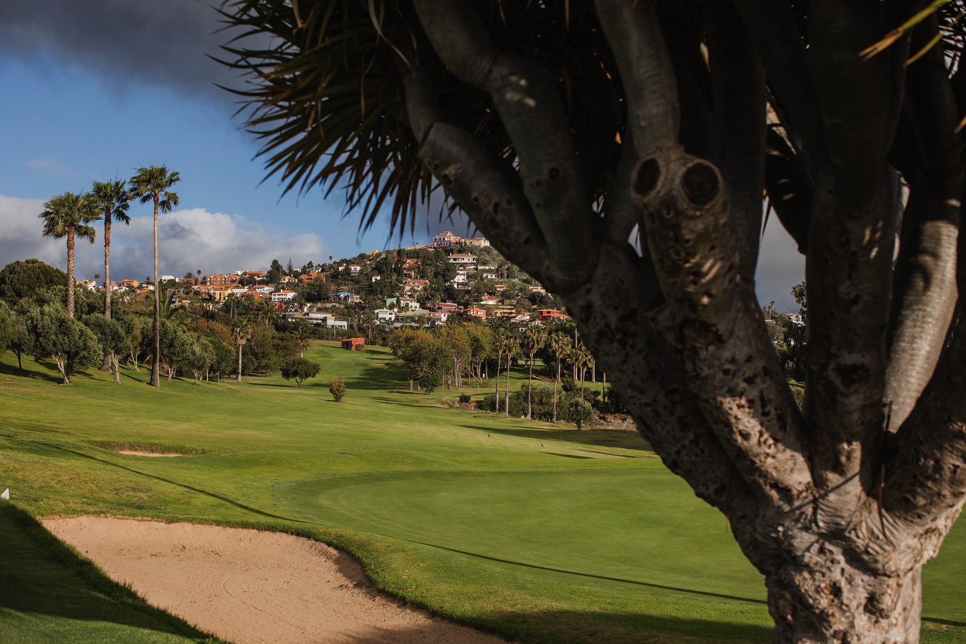 flyde undergrundsbane Pilgrim Real Club de Golf de Las Palmas | Golf på Gran Canaria