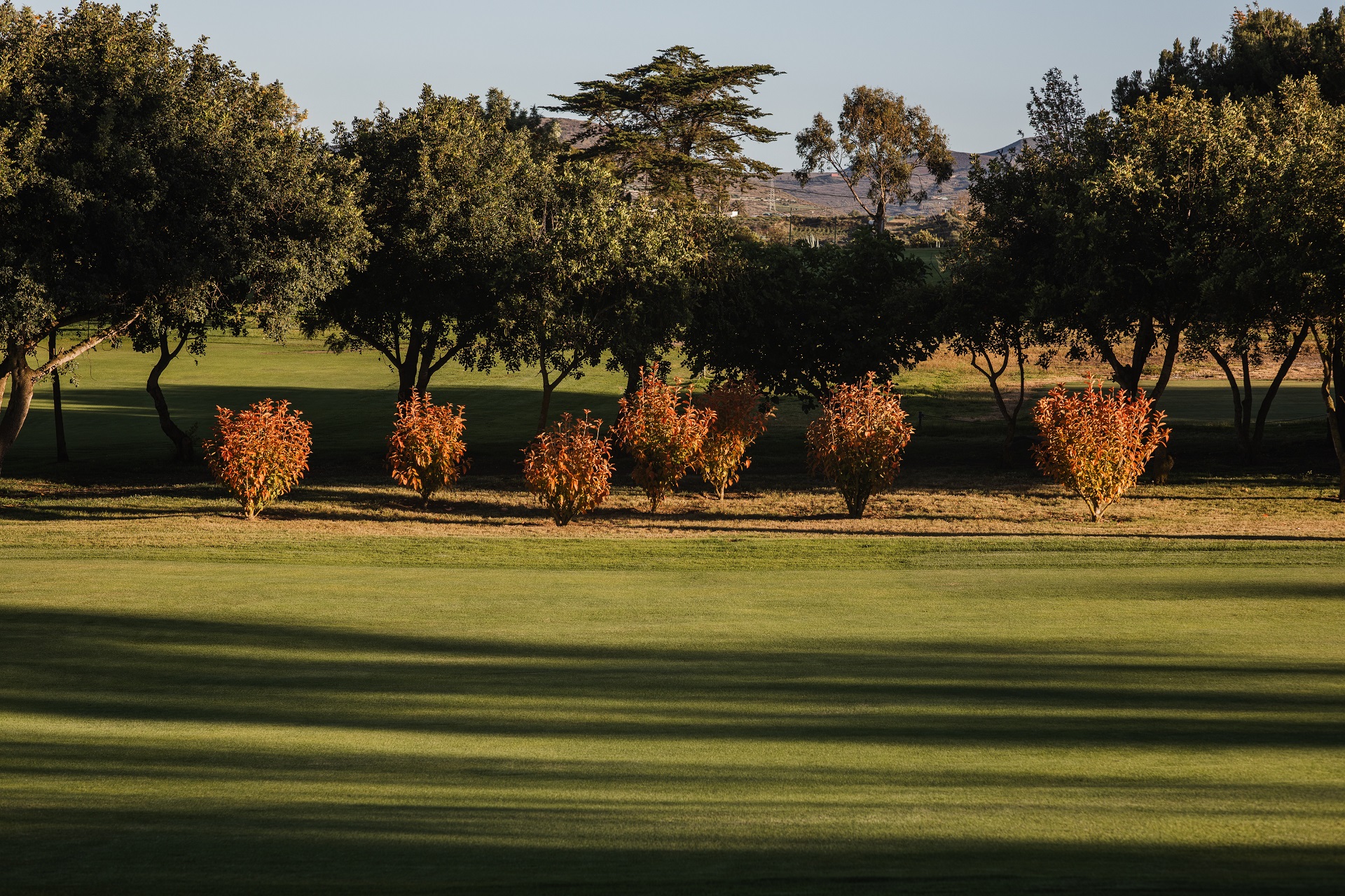 Real Club de Golf de Las Palmas | Golf på Gran Canaria