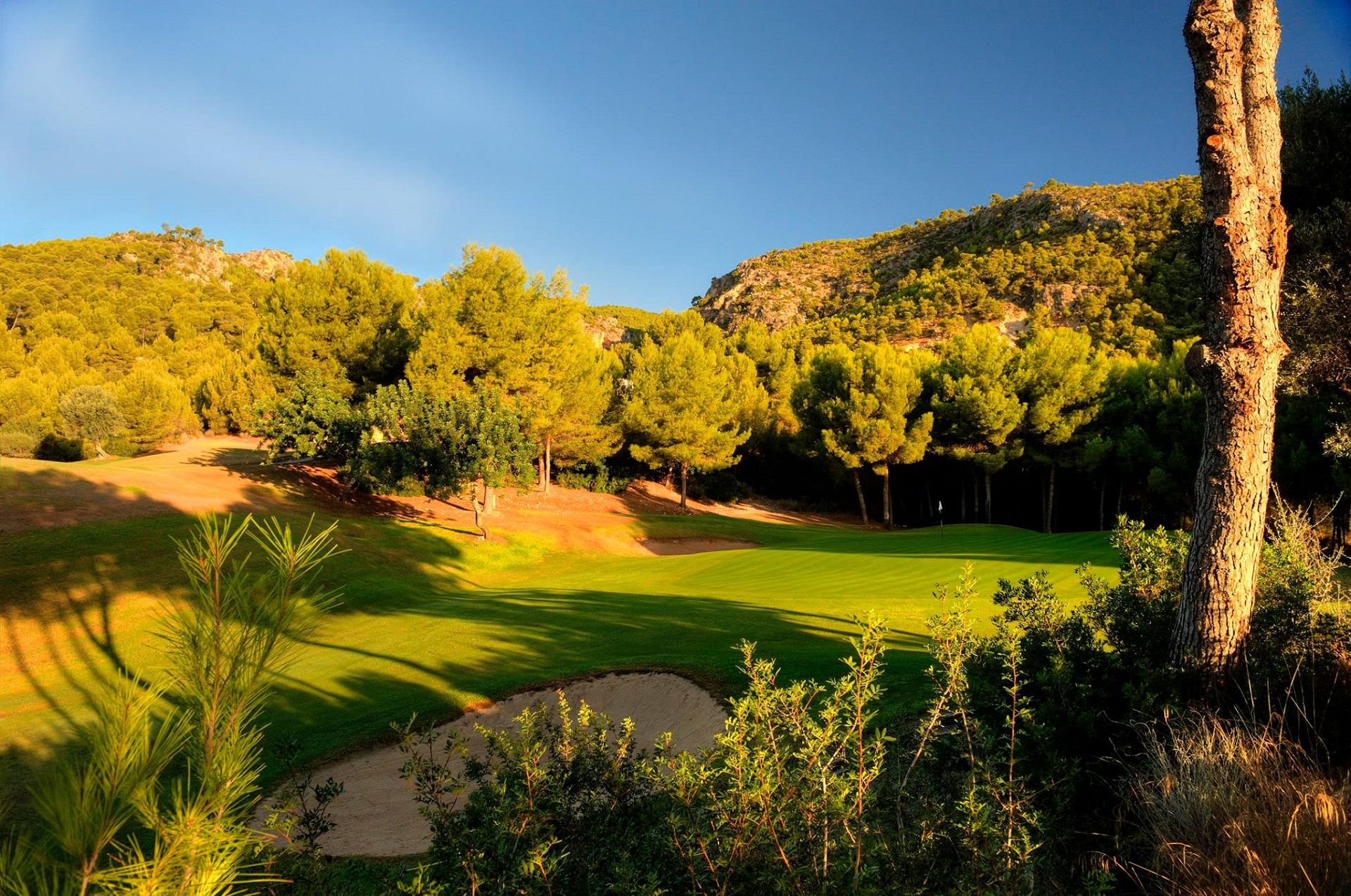Real Golf de Bendinat | Golf på Mallorca