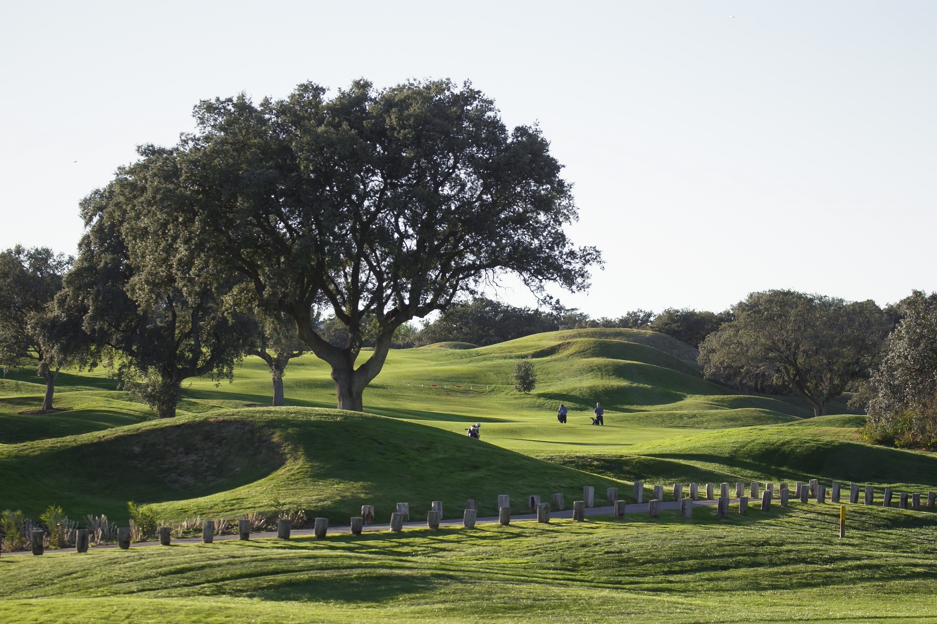 Real Sociedad Hípica Española Club de Campo | Golf i Madrid