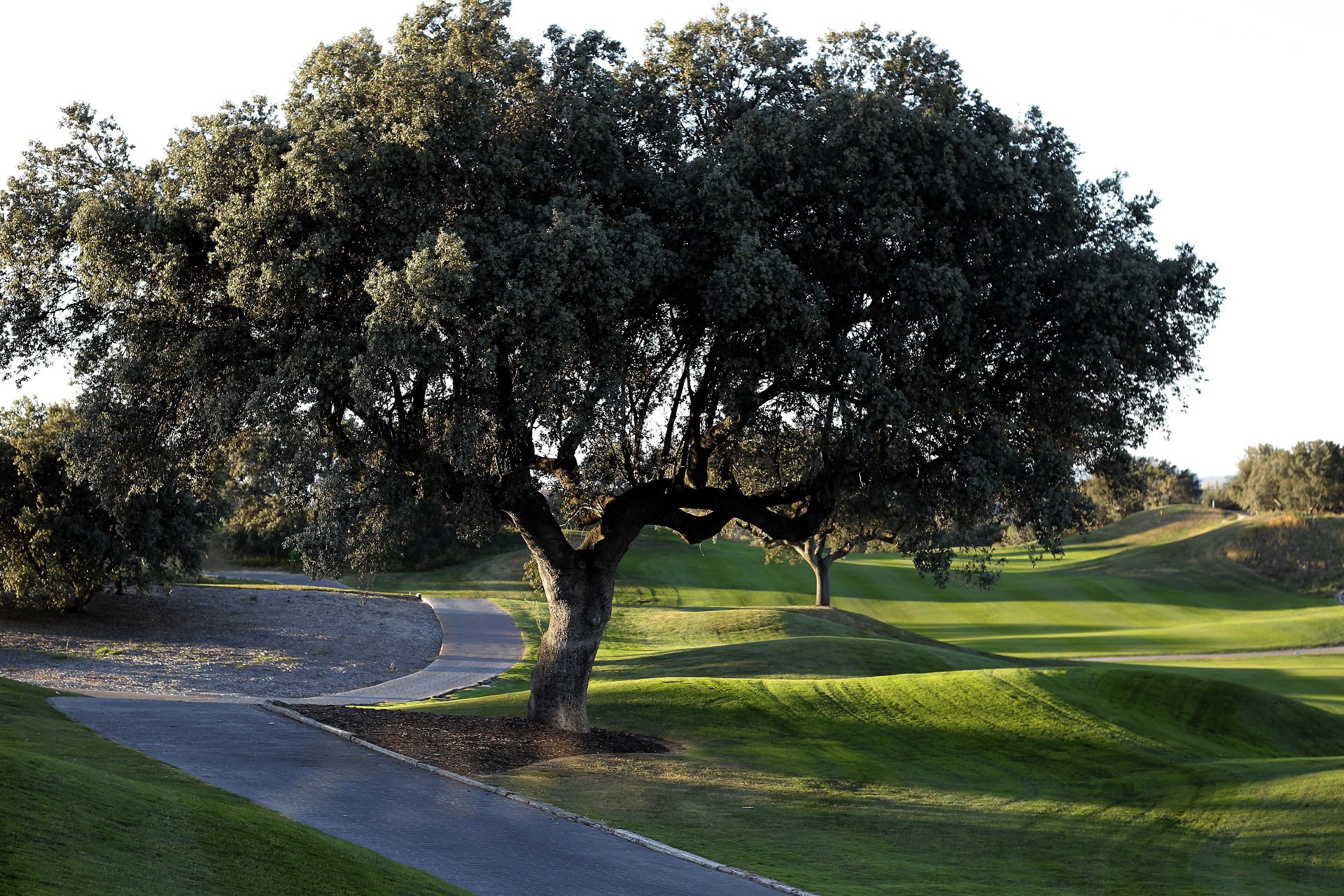 Real Sociedad Hípica Española Club de Campo | Golf i Madrid