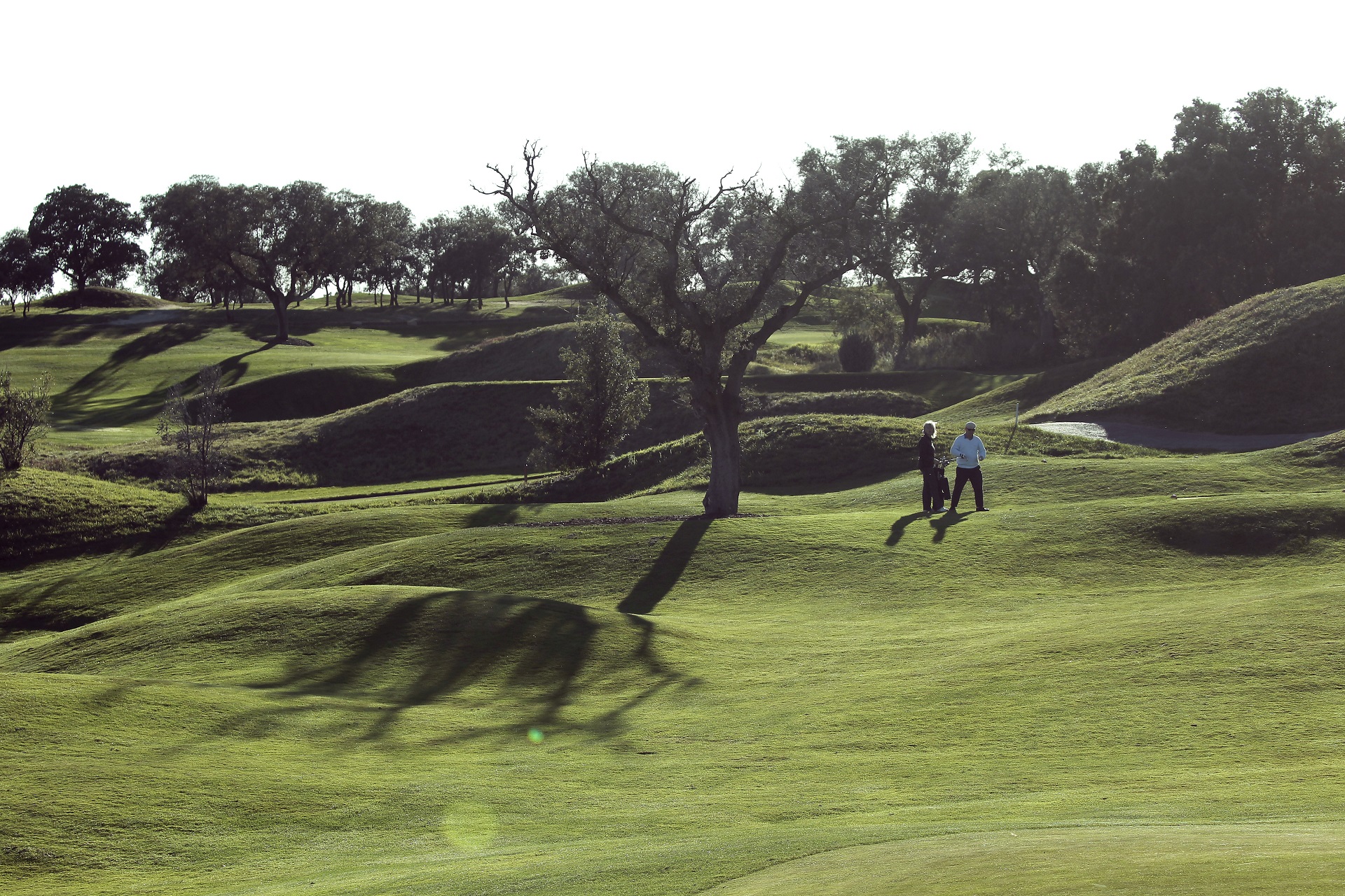 Real Sociedad Hípica Española Club de Campo | Golf i Madrid