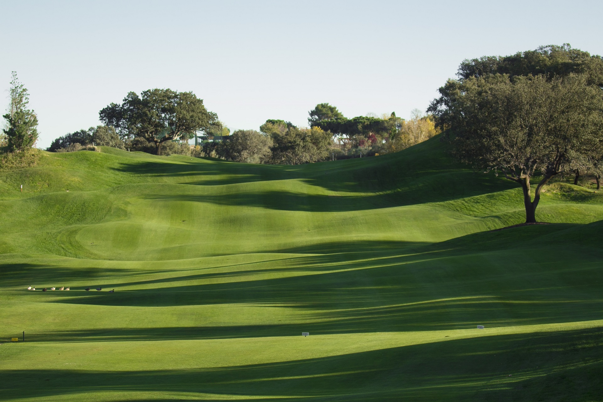 Real Sociedad Hípica Española Club de Campo | Golf i Madrid