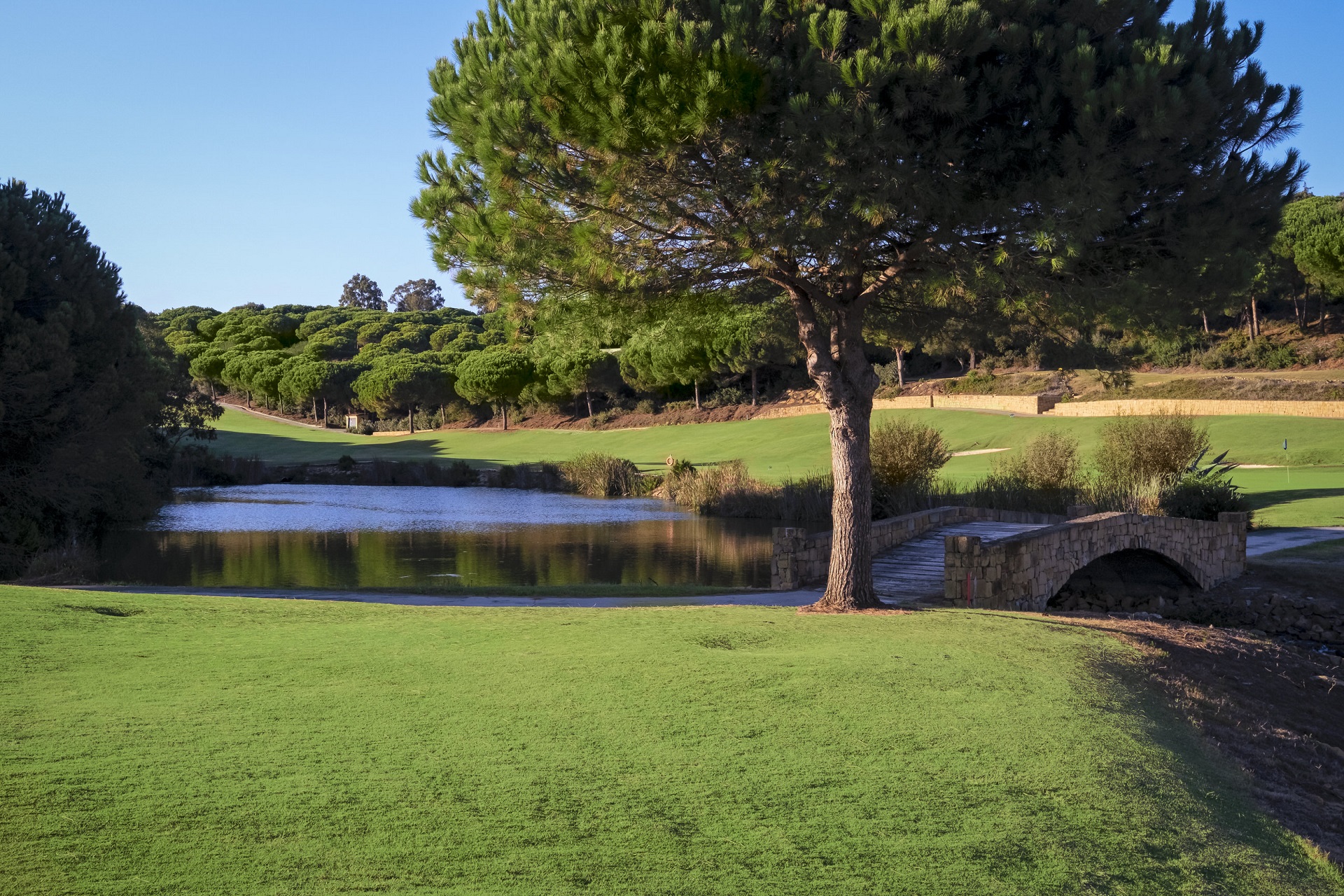 SO/ Sotogrande | Almenara Golf Club