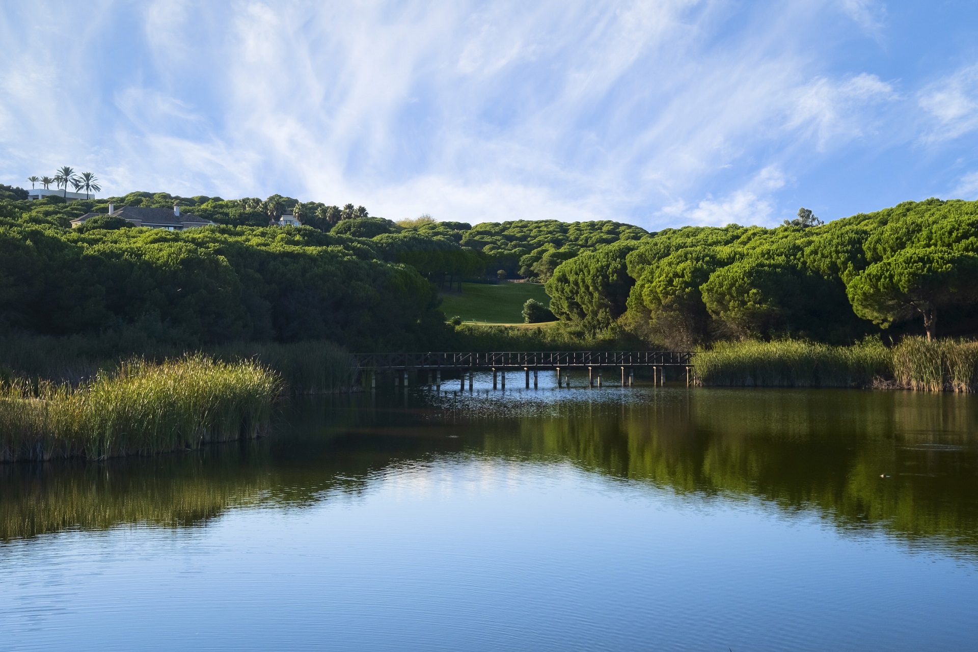 SO/ Sotogrande | Almenara Golf Club
