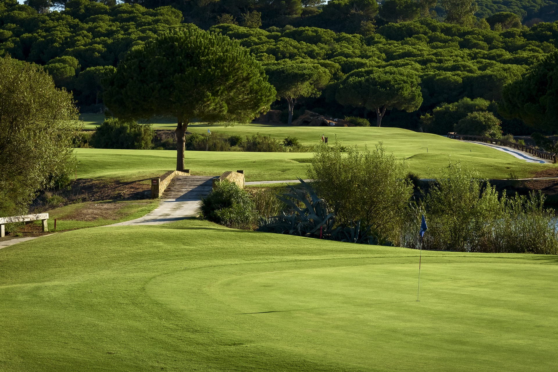 SO/ Sotogrande | Almenara Golf Club