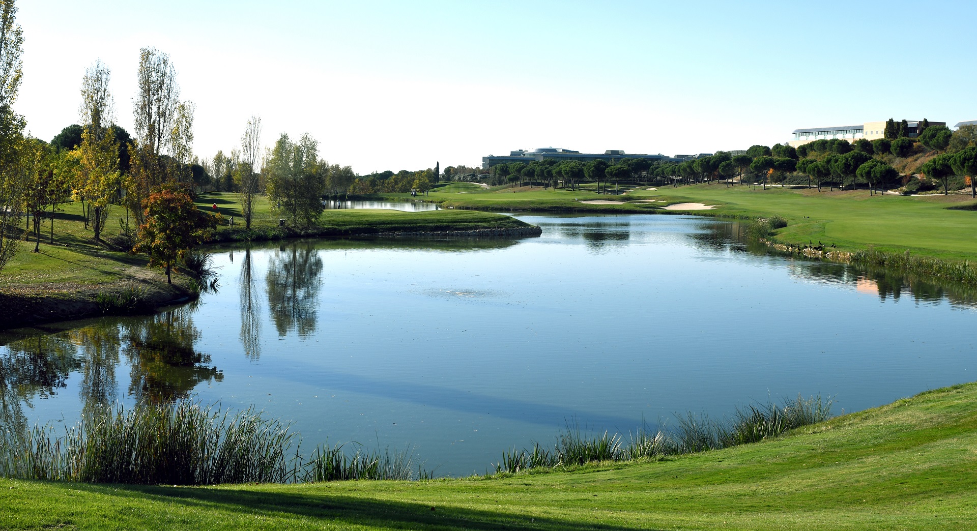 Golf Santander | Golf i Madrid