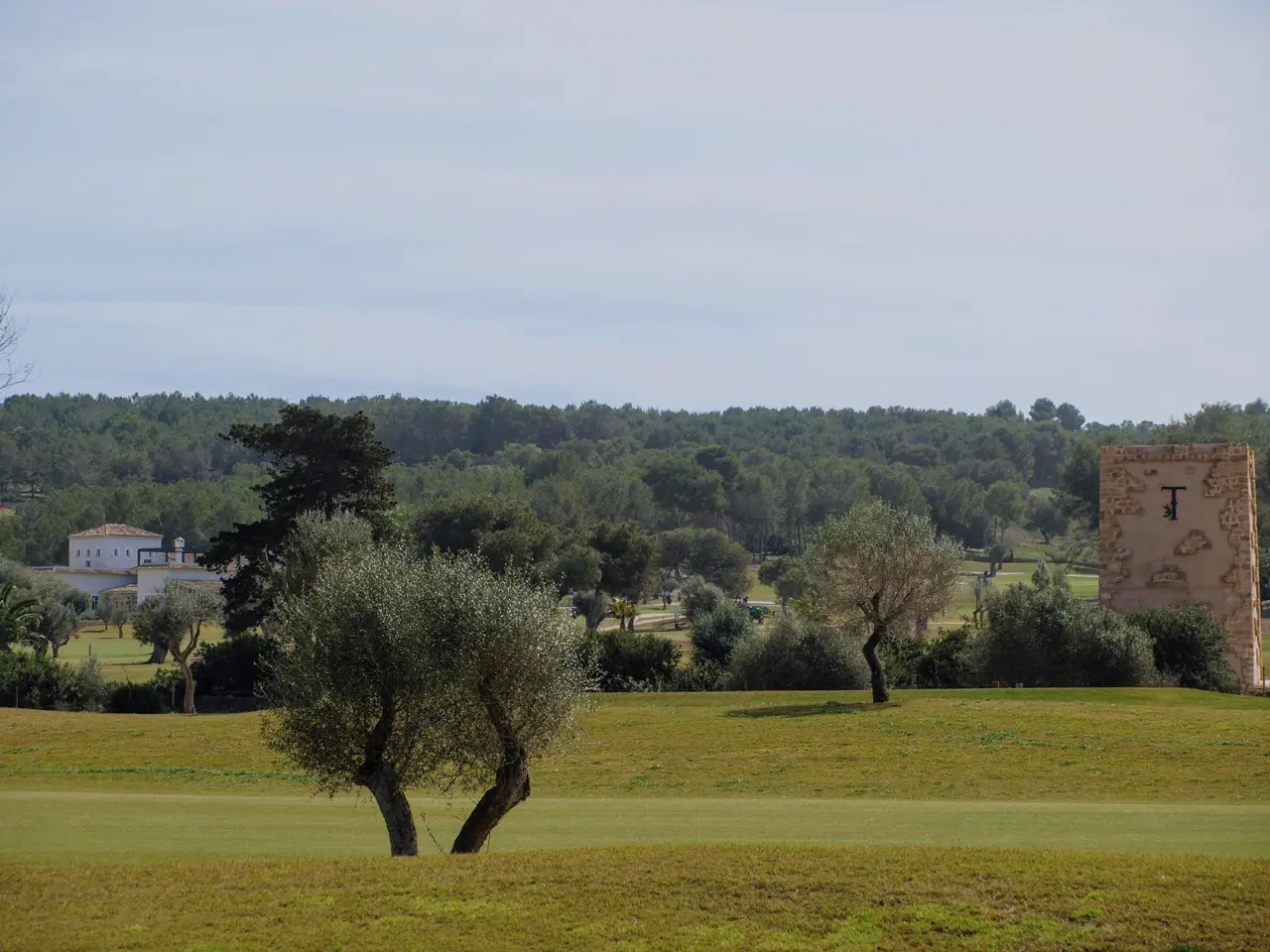 T Golf & Country Club Poniente | Golf på Mallorca
