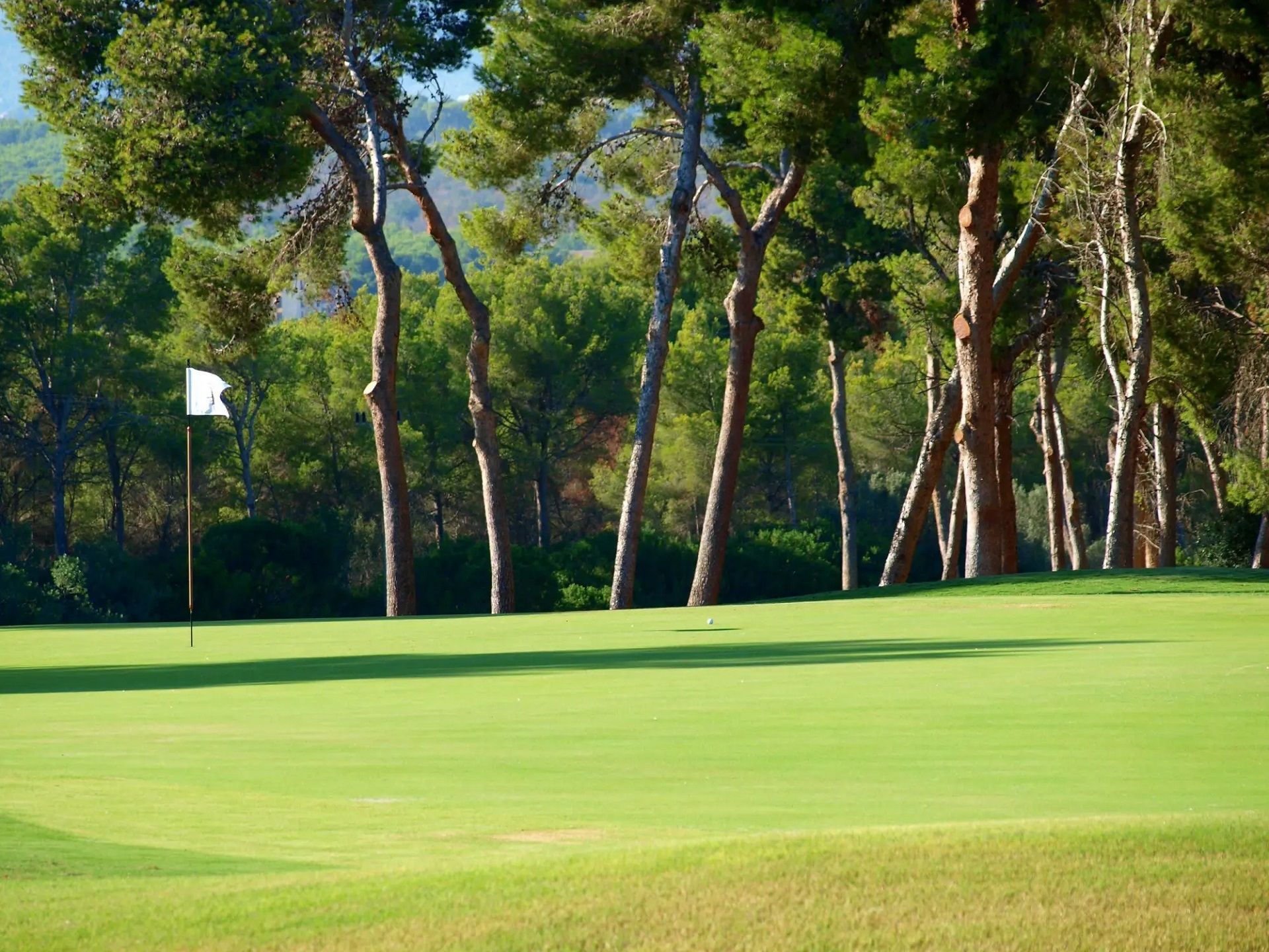 T Golf & Country Club Poniente | Golf på Mallorca