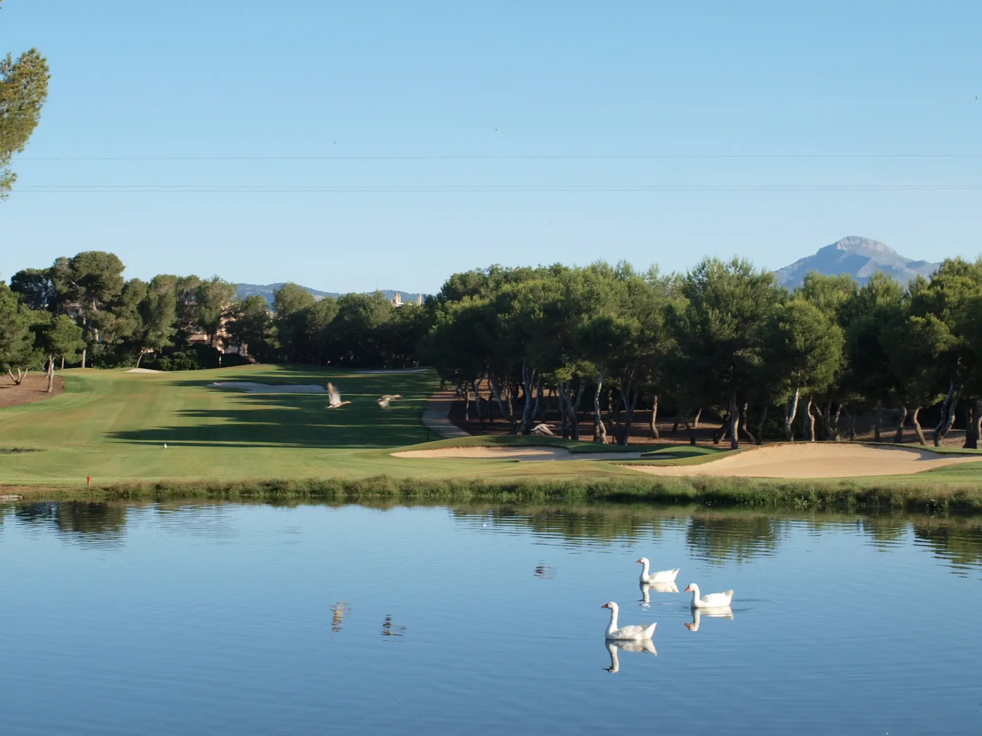 T Golf & Country Club Poniente | Golf på Mallorca