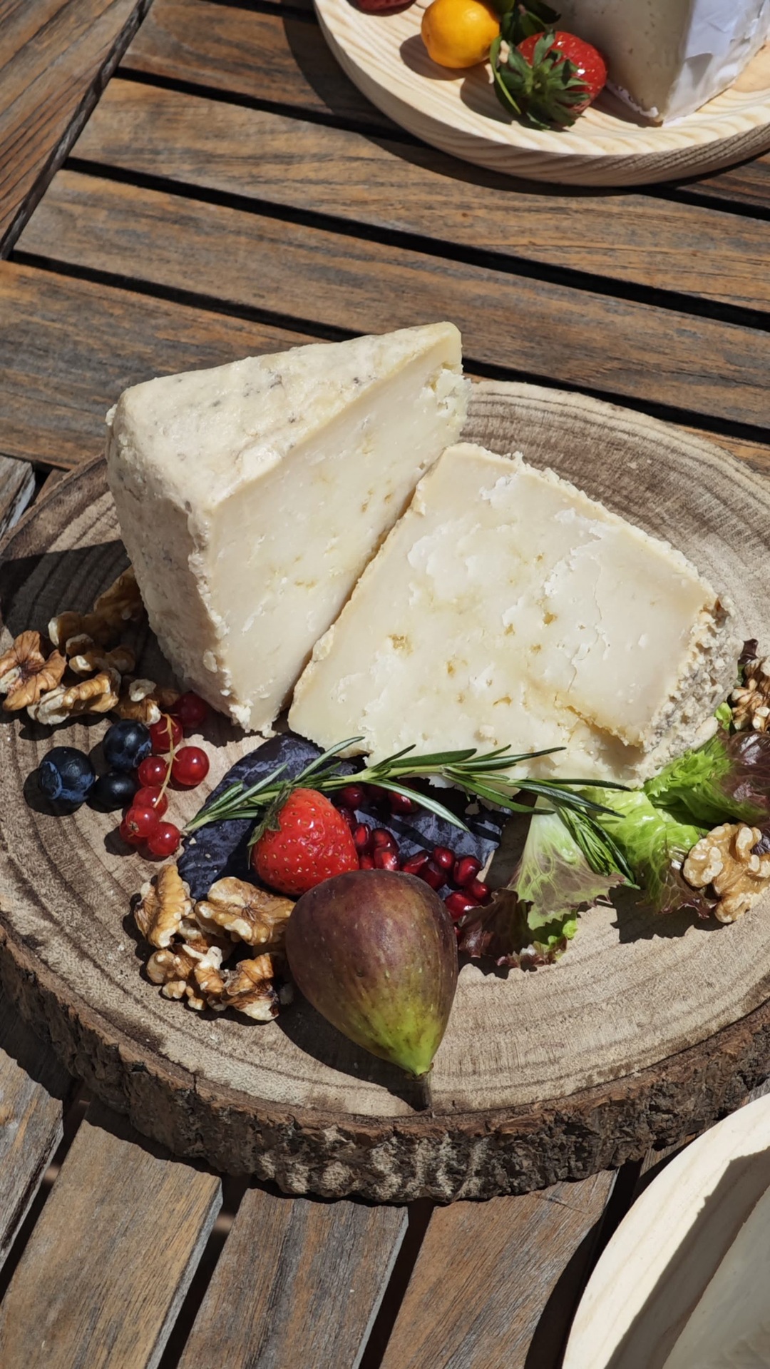 AZZ Castellar Hacienda El Alcornocal